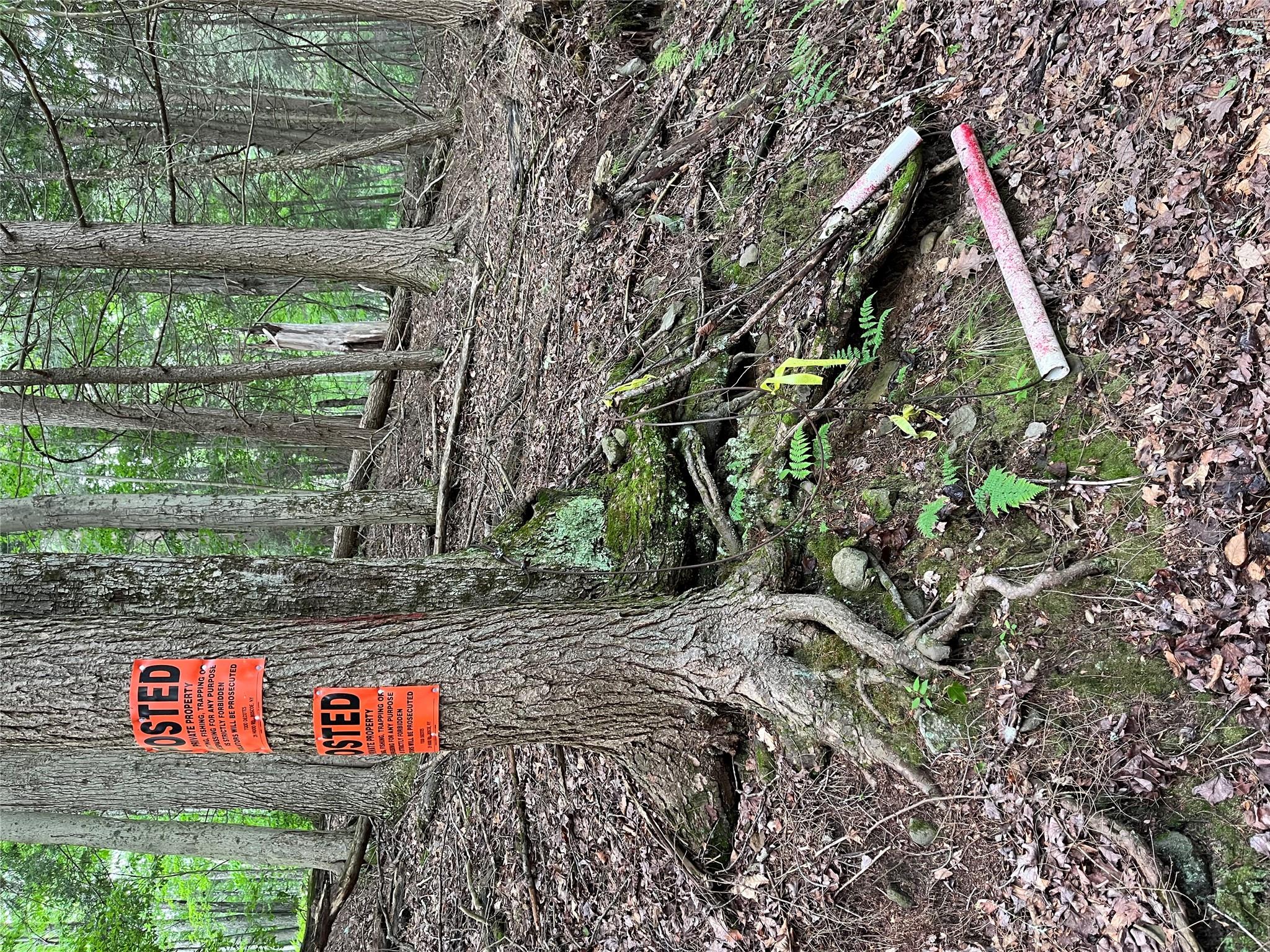 Hood Road Property Photo 11