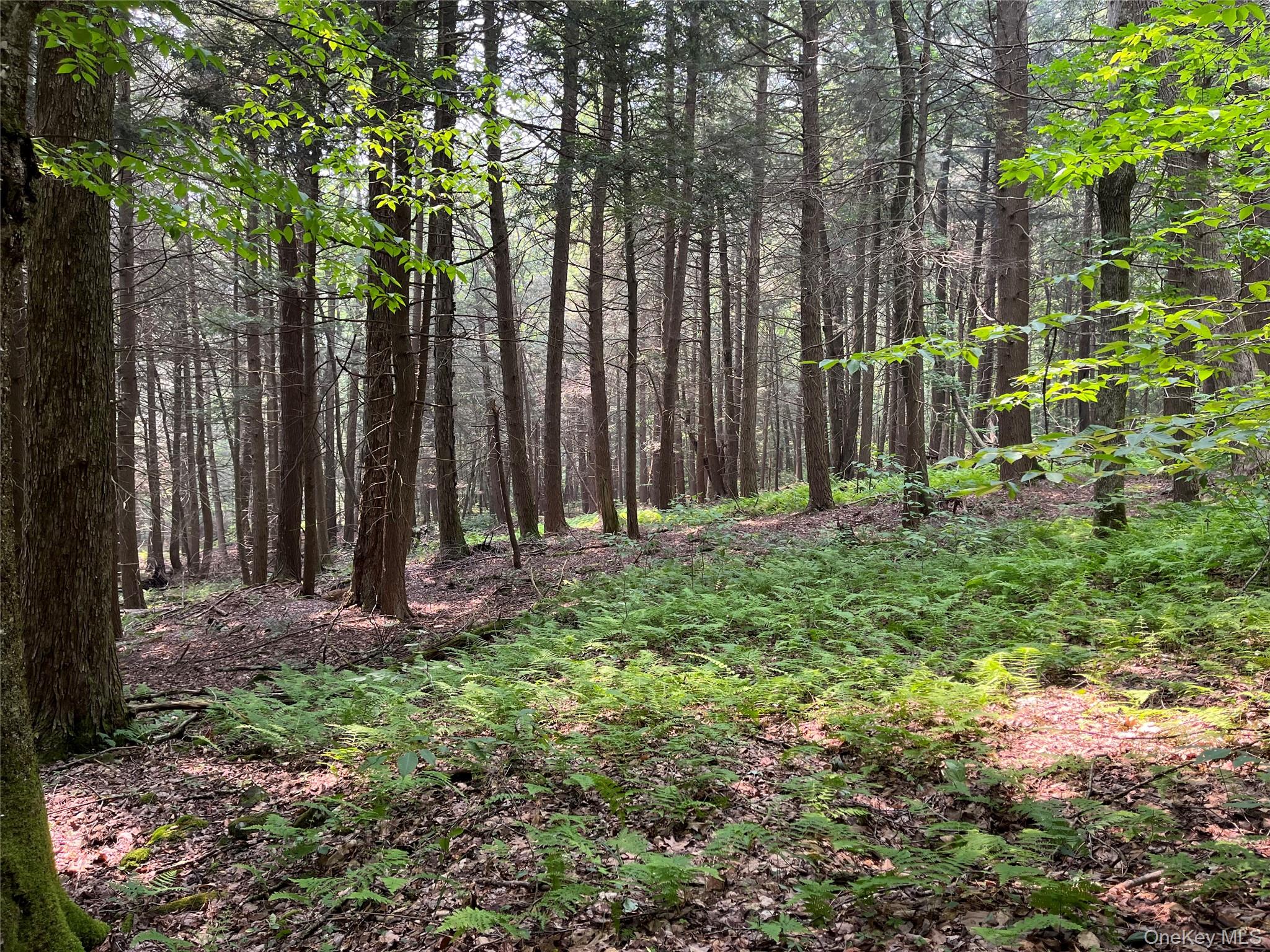 Hood Road Property Photo 12