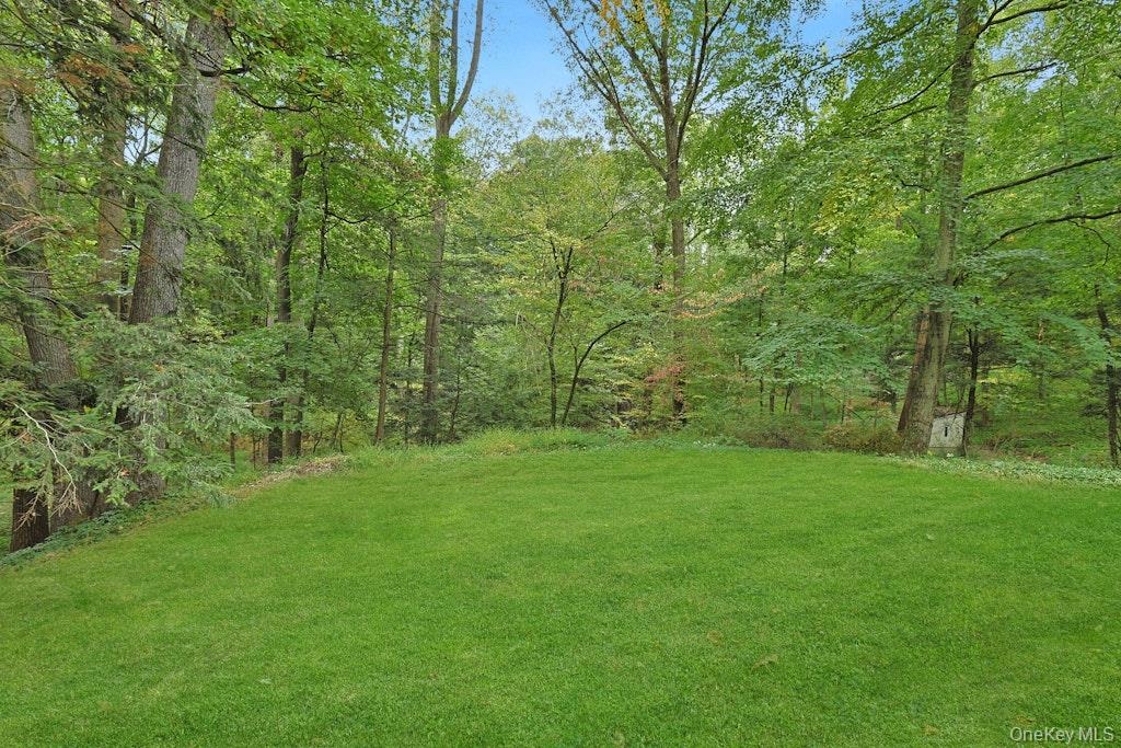 81 Montrose Station Road Property Photo 41
