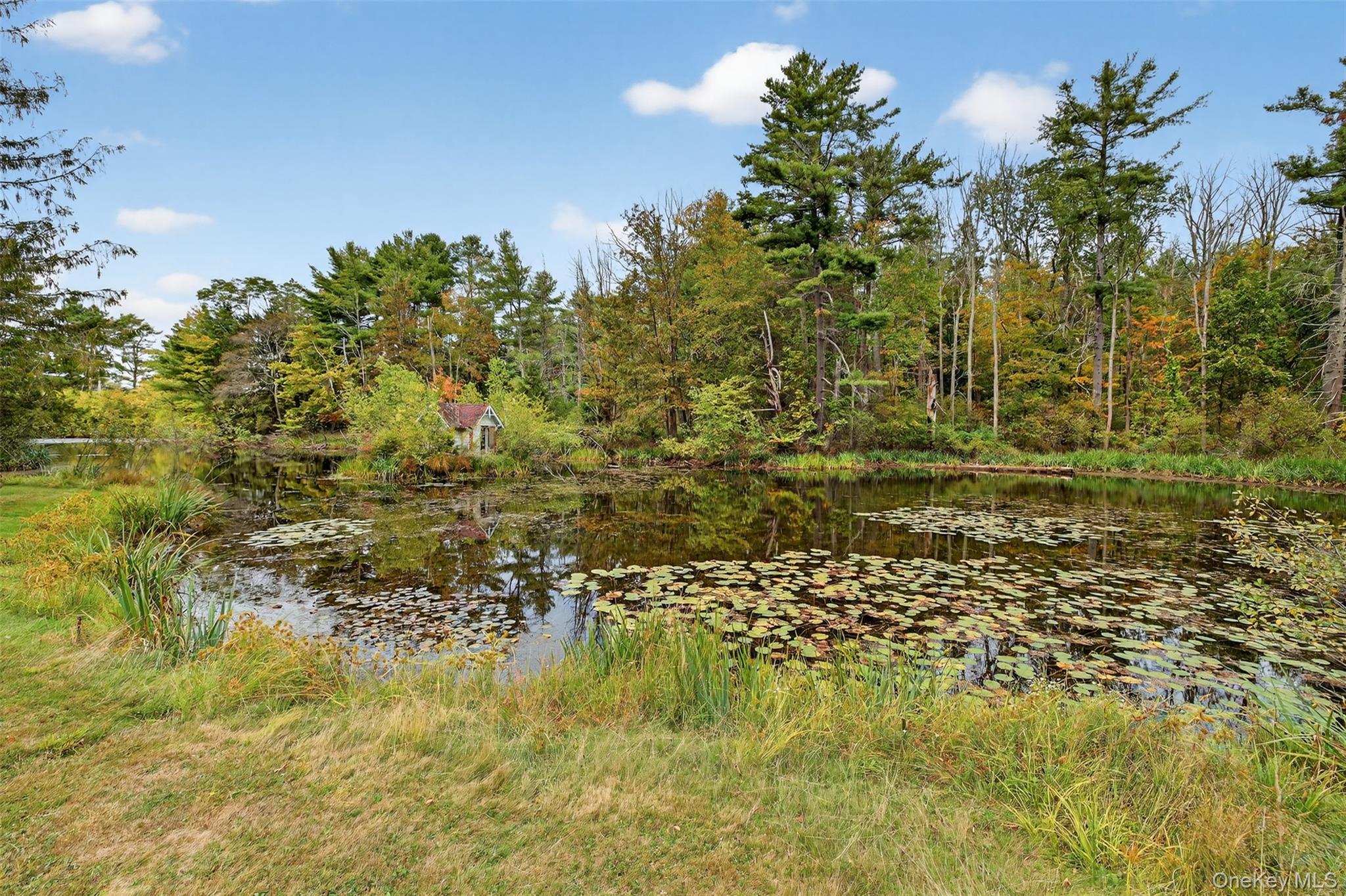 1122 County Route 31 Property Photo 46