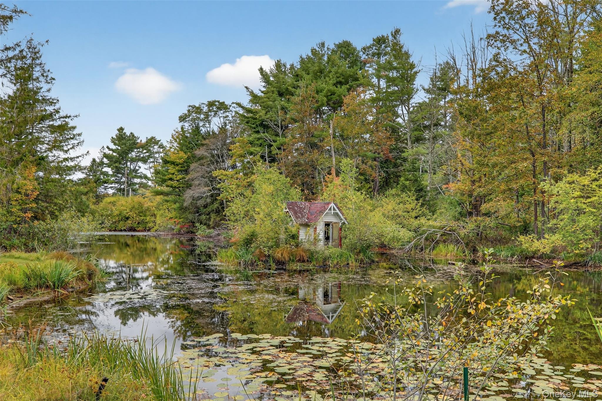 1122 County Route 31 Property Photo 48