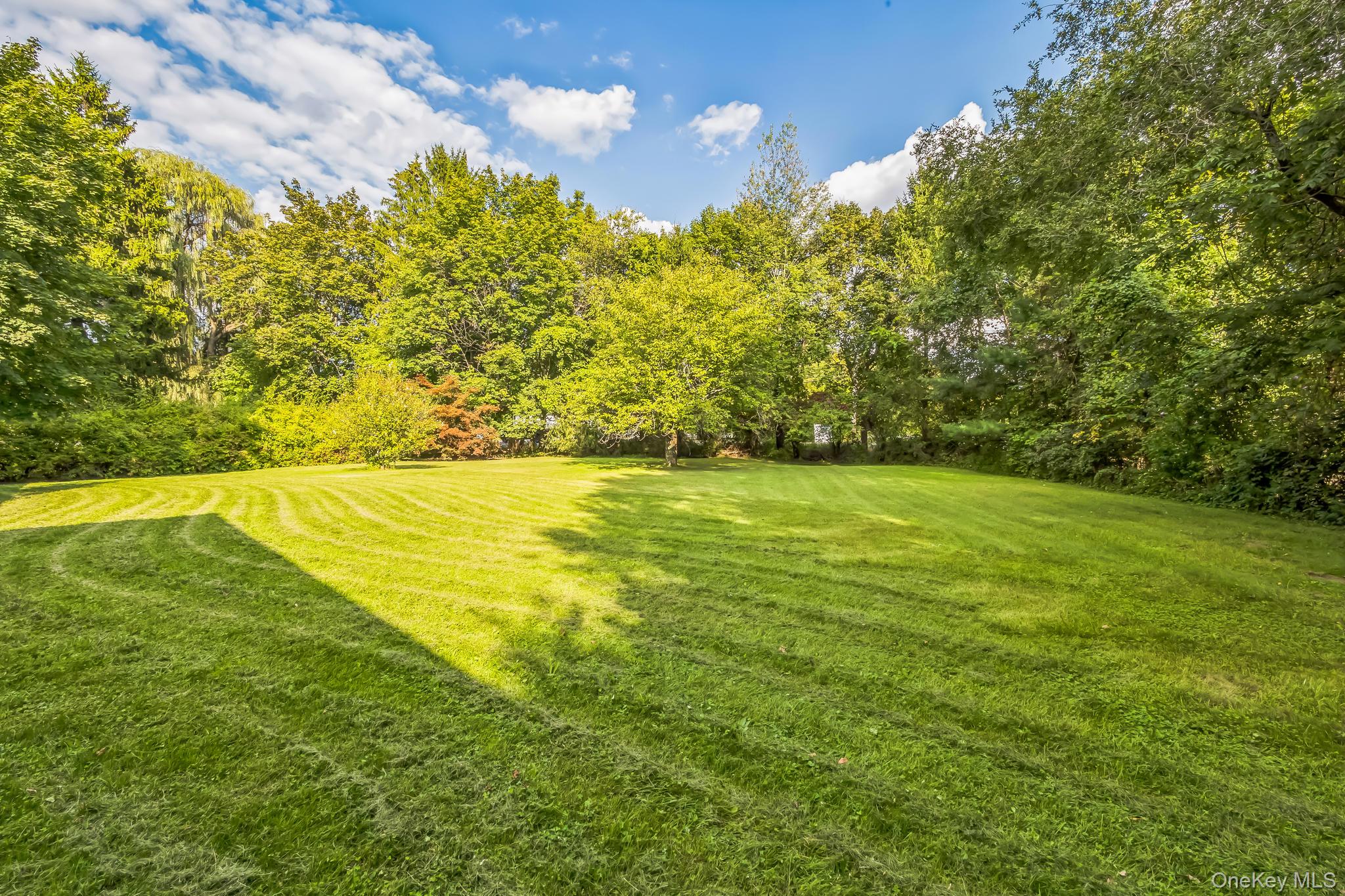 24 New Road Property Photo 16