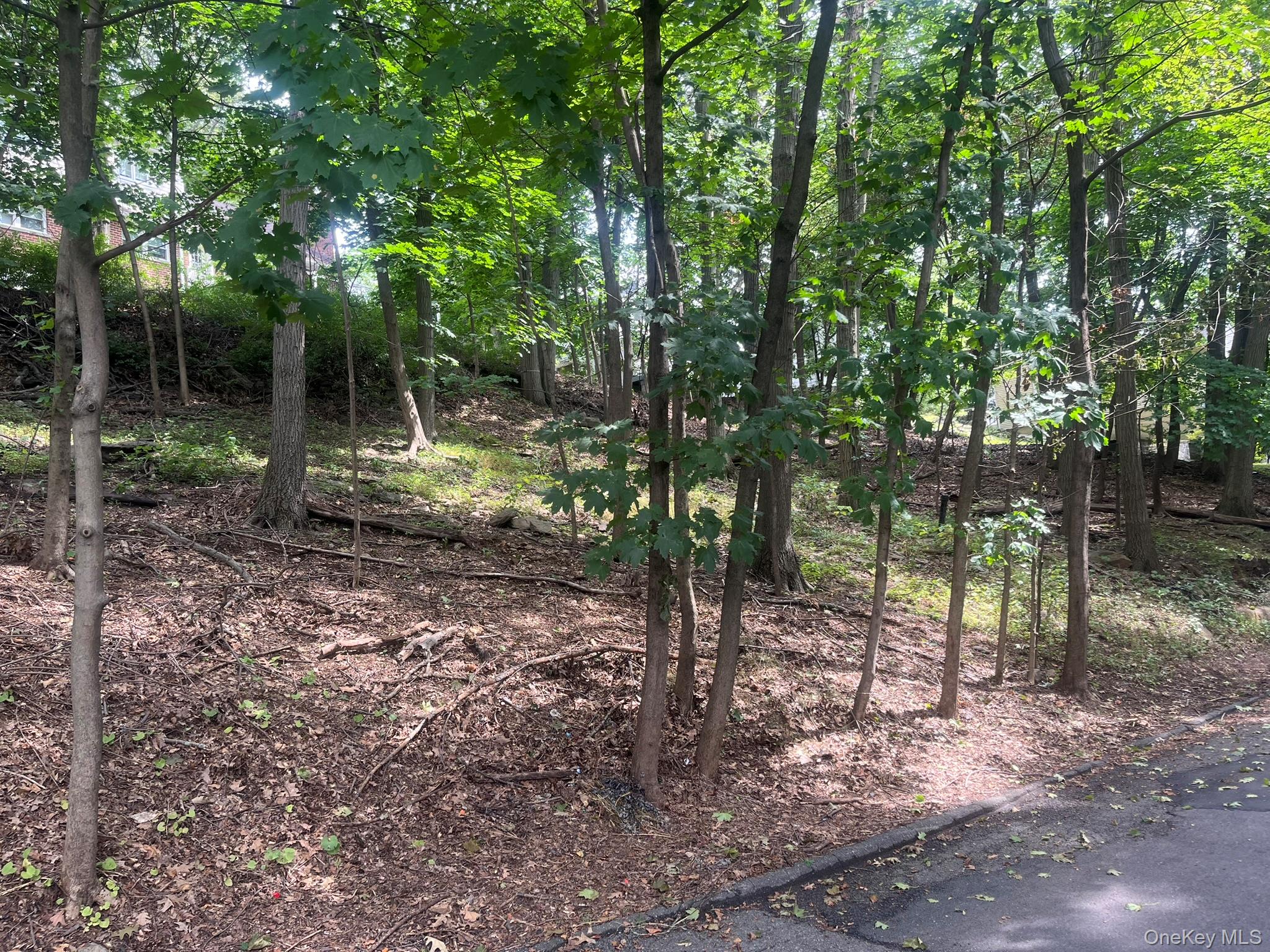 0 Springwood Avenue Property Photo 1