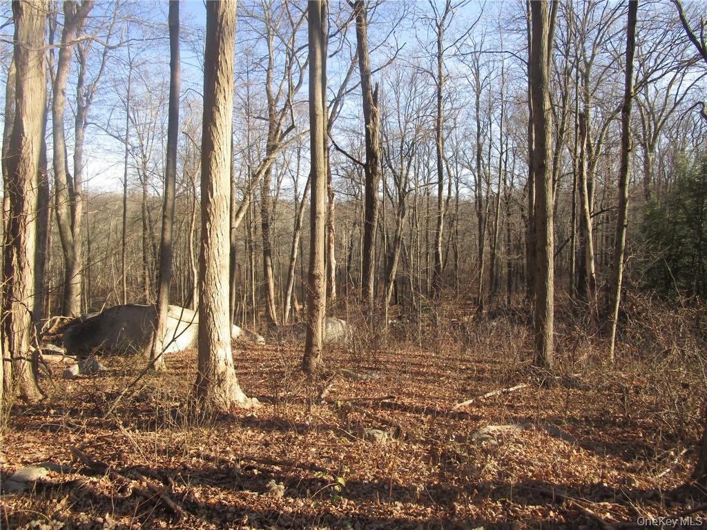 Brookside/bear Mtn Parkway Avenue Property Photo 1