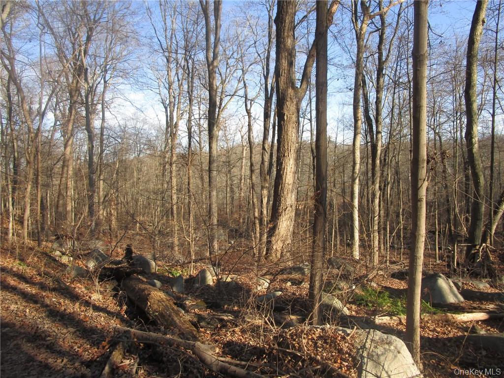 Brookside/bear Mtn Parkway Avenue Property Photo 2