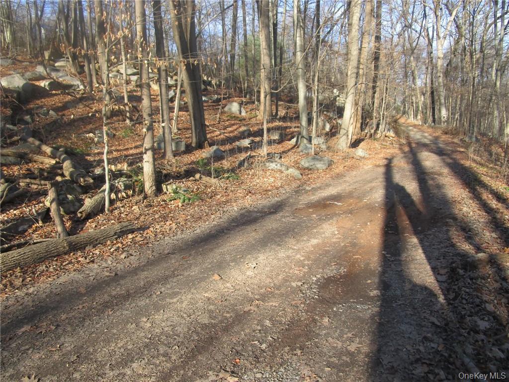 Brookside/bear Mtn Parkway Avenue Property Photo 3
