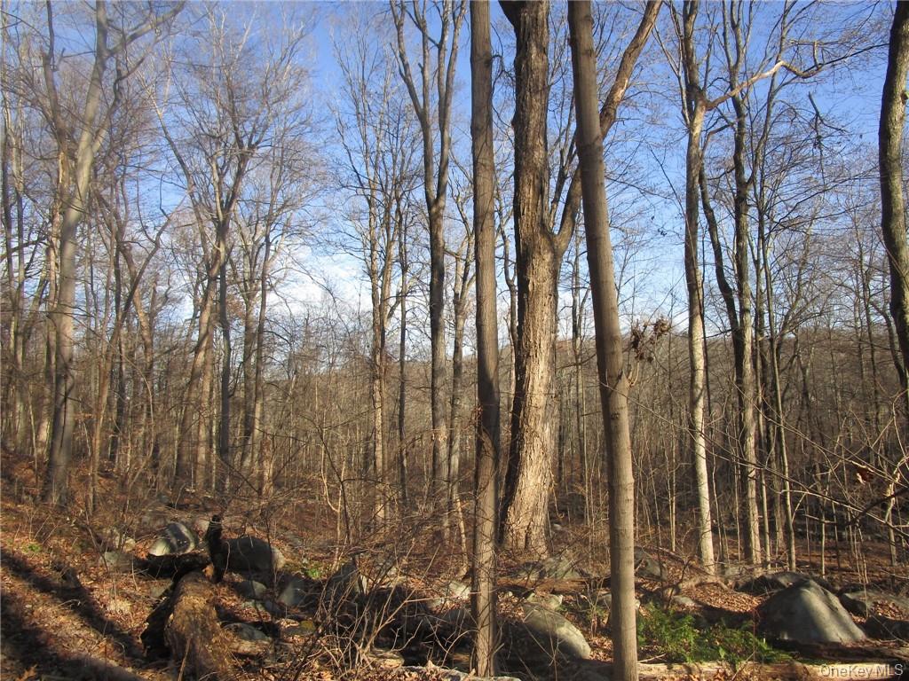 Brookside/bear Mtn Parkway Avenue Property Photo 4