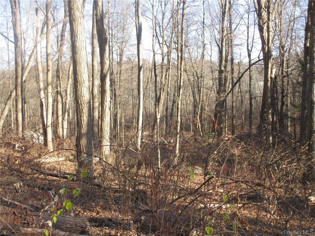 Brookside/bear Mtn Parkway Avenue Property Photo 5