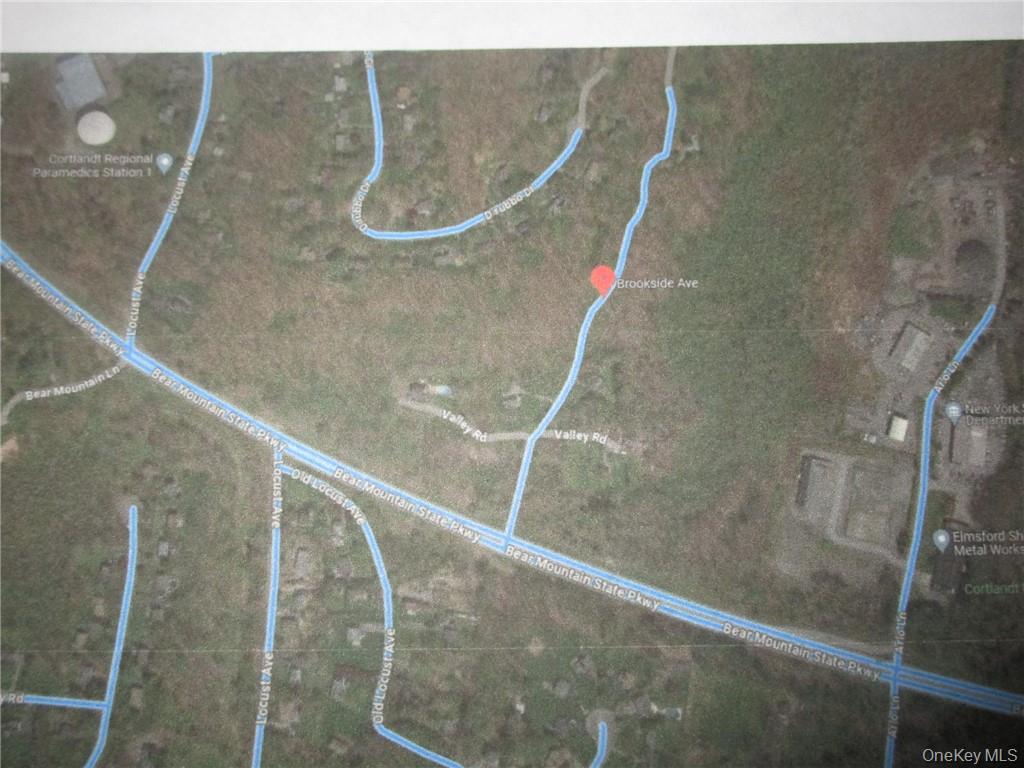 Brookside/bear Mtn Parkway Avenue Property Photo 6