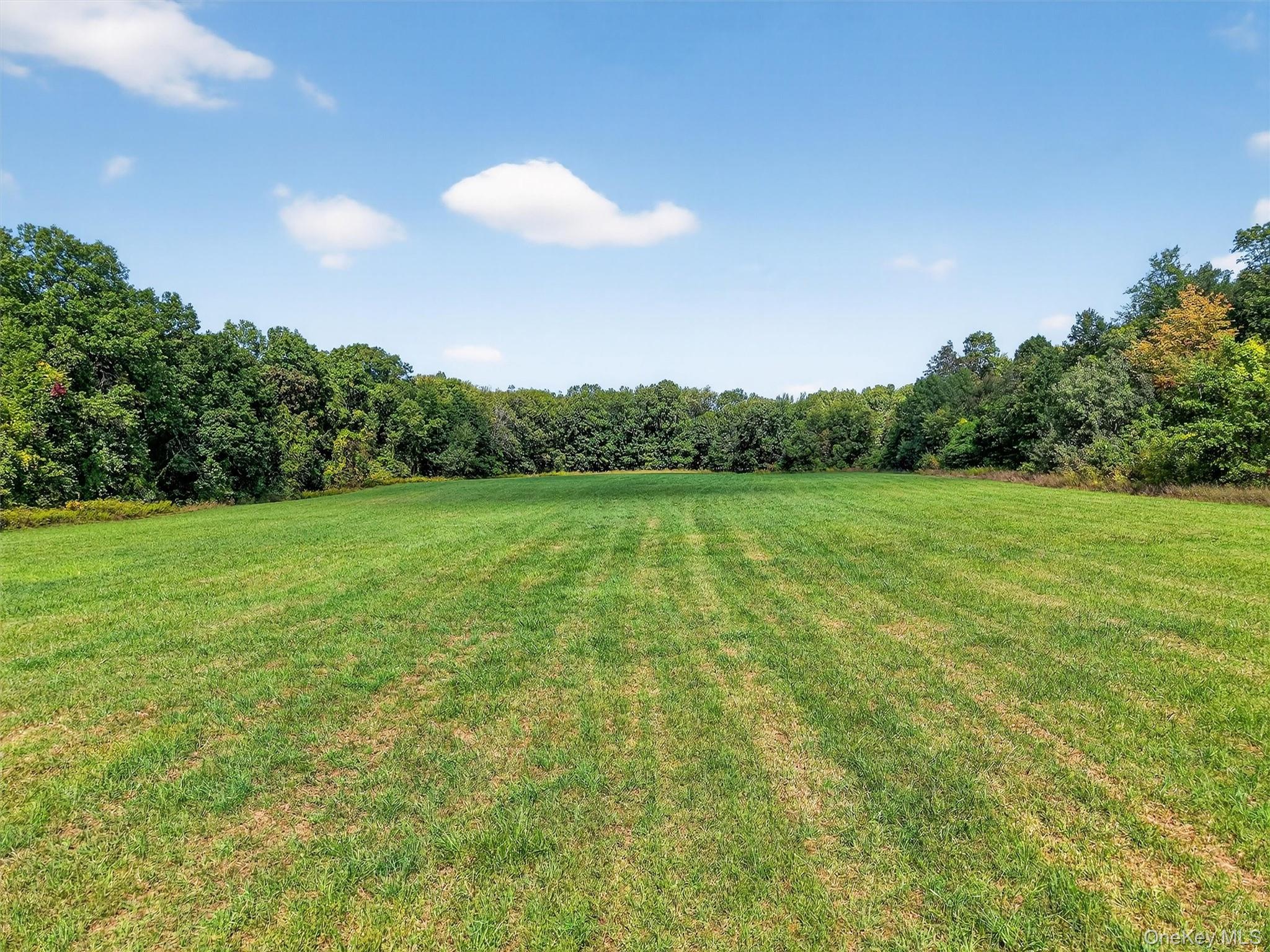 Mt Airy Road Property Photo 3