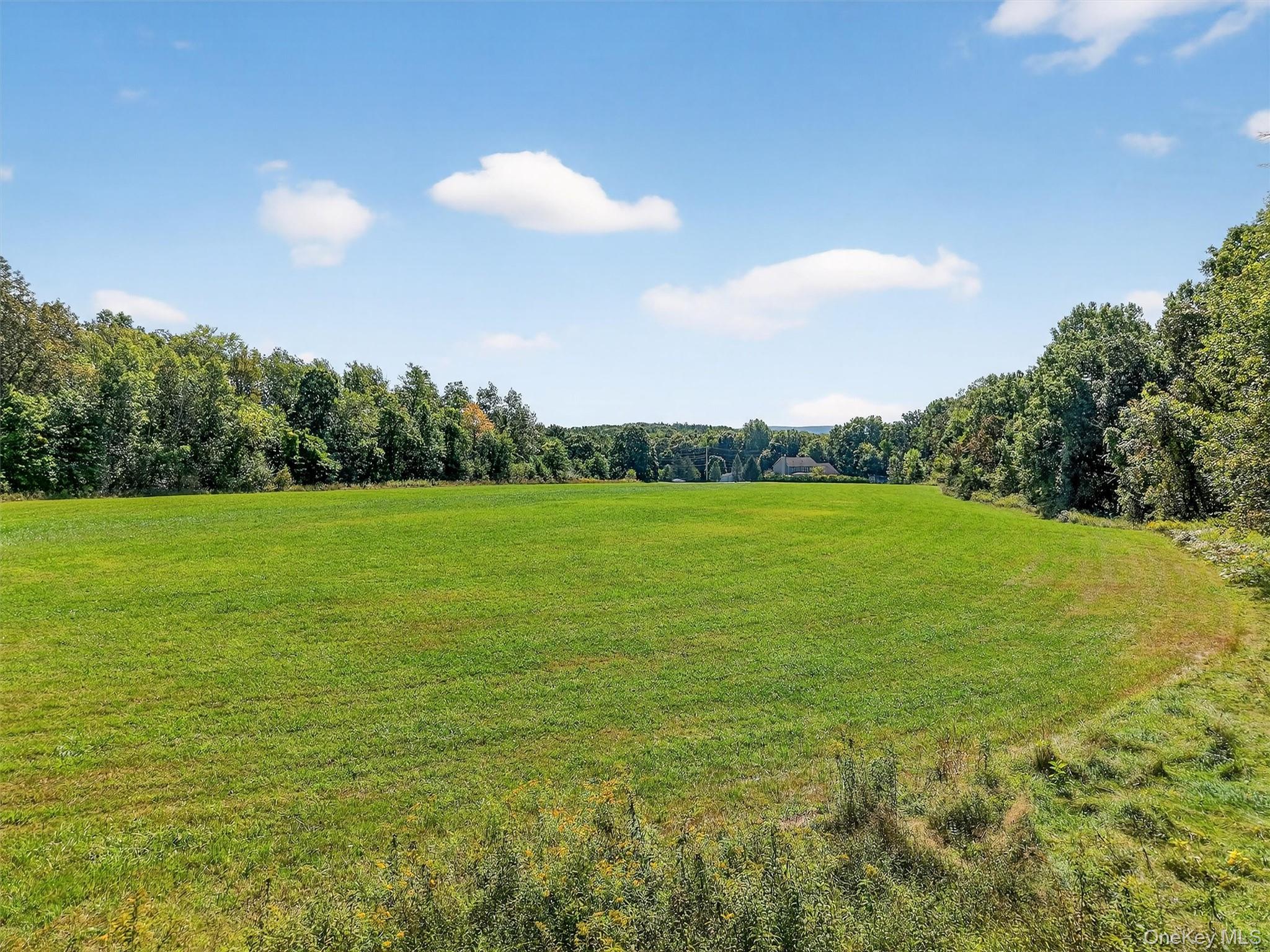 Mt Airy Road Property Photo 8