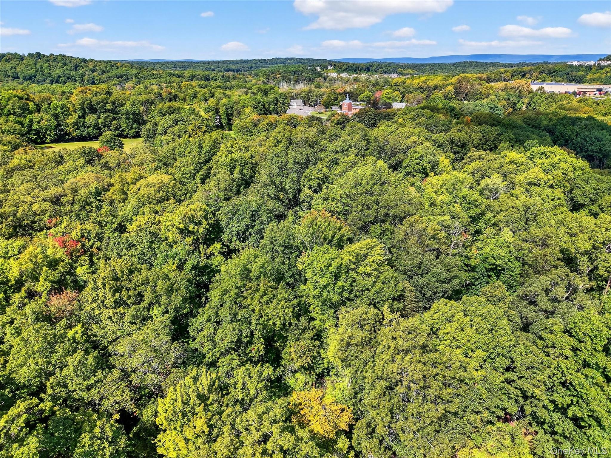 Mt Airy Road Property Photo 21