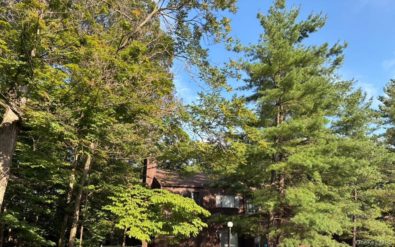 20 Redwood Drive Property Photo 6