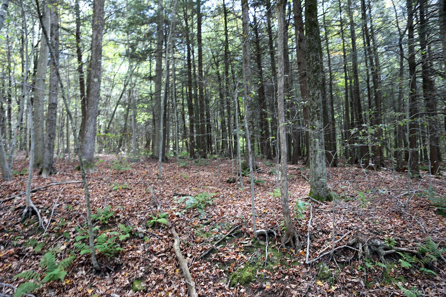 0 Rt-97 Property Photo 1