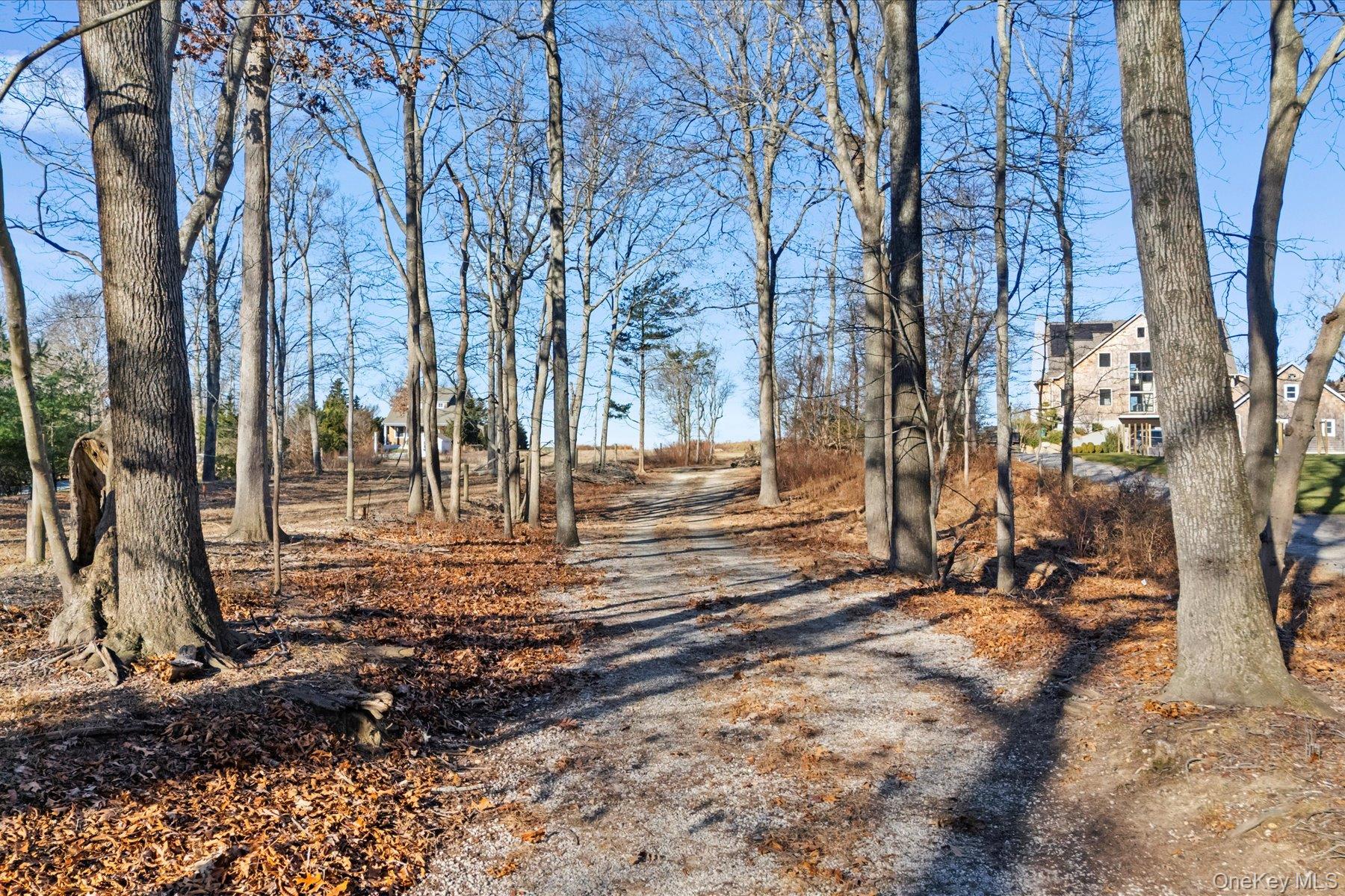 4760 Blue Horizon Bluffs Property Photo 13