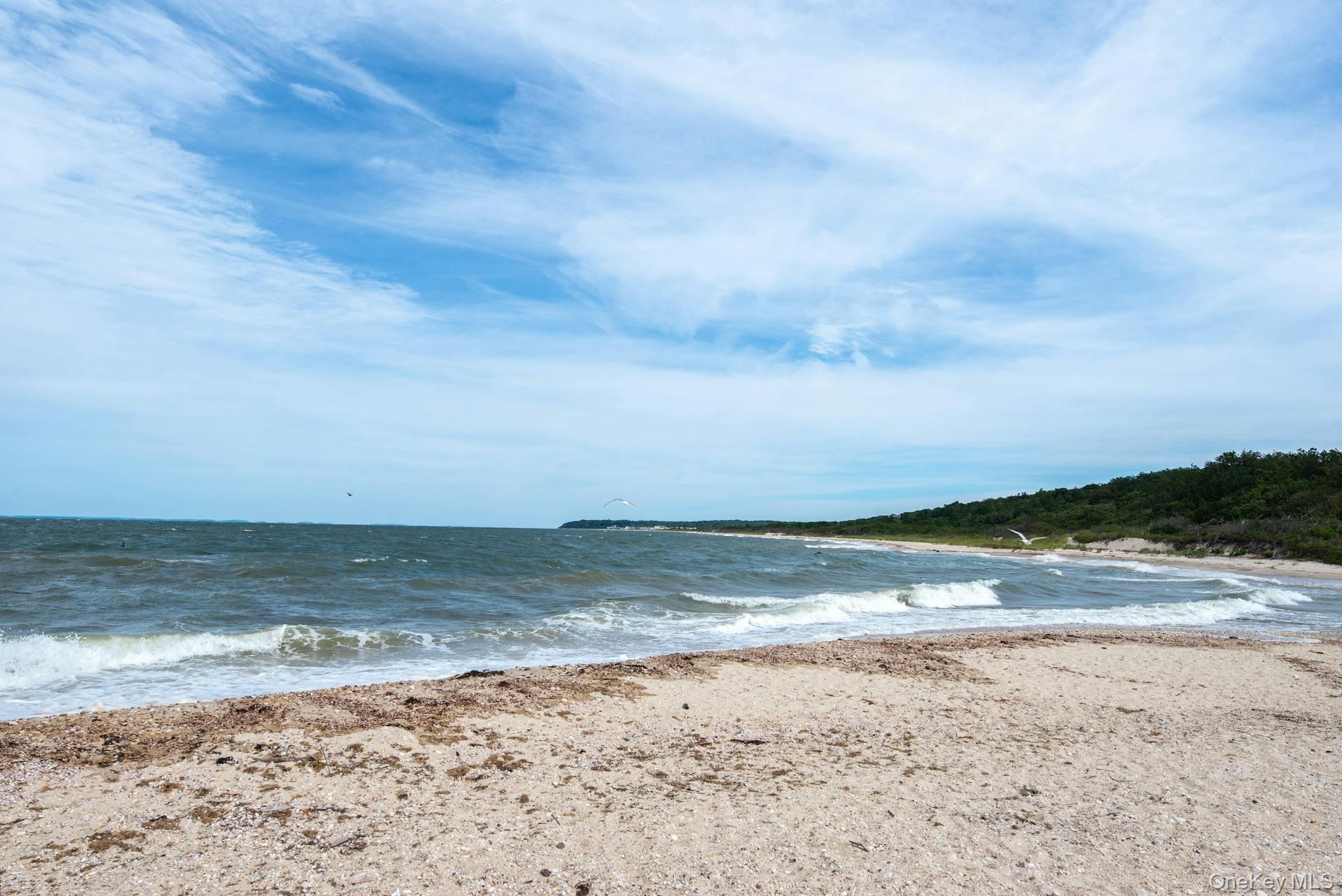 4760 Blue Horizon Bluffs Property Photo 17