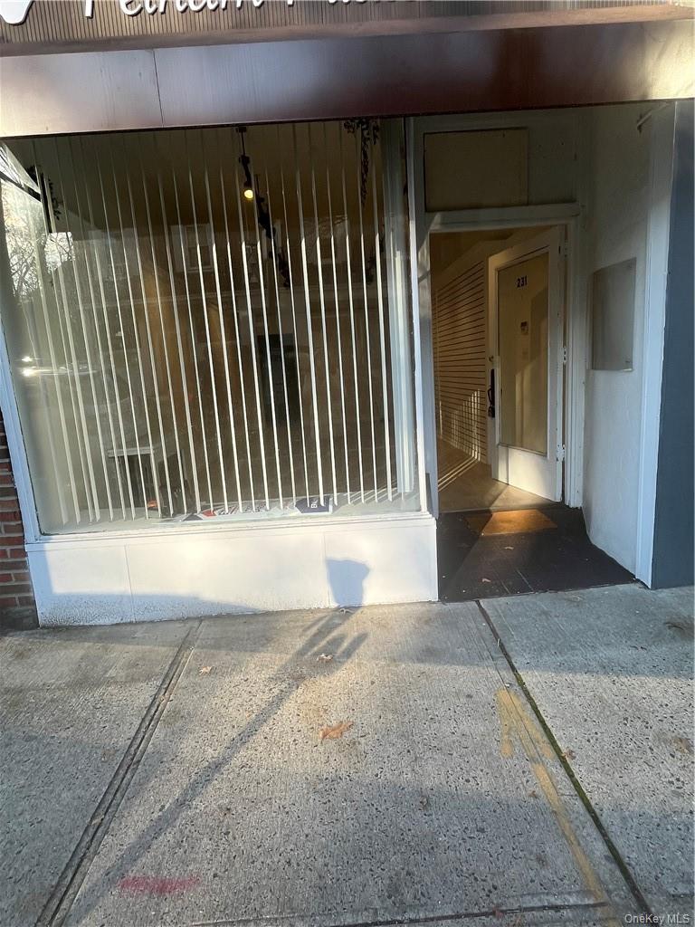 231 Fifth Avenue Property Photo 1