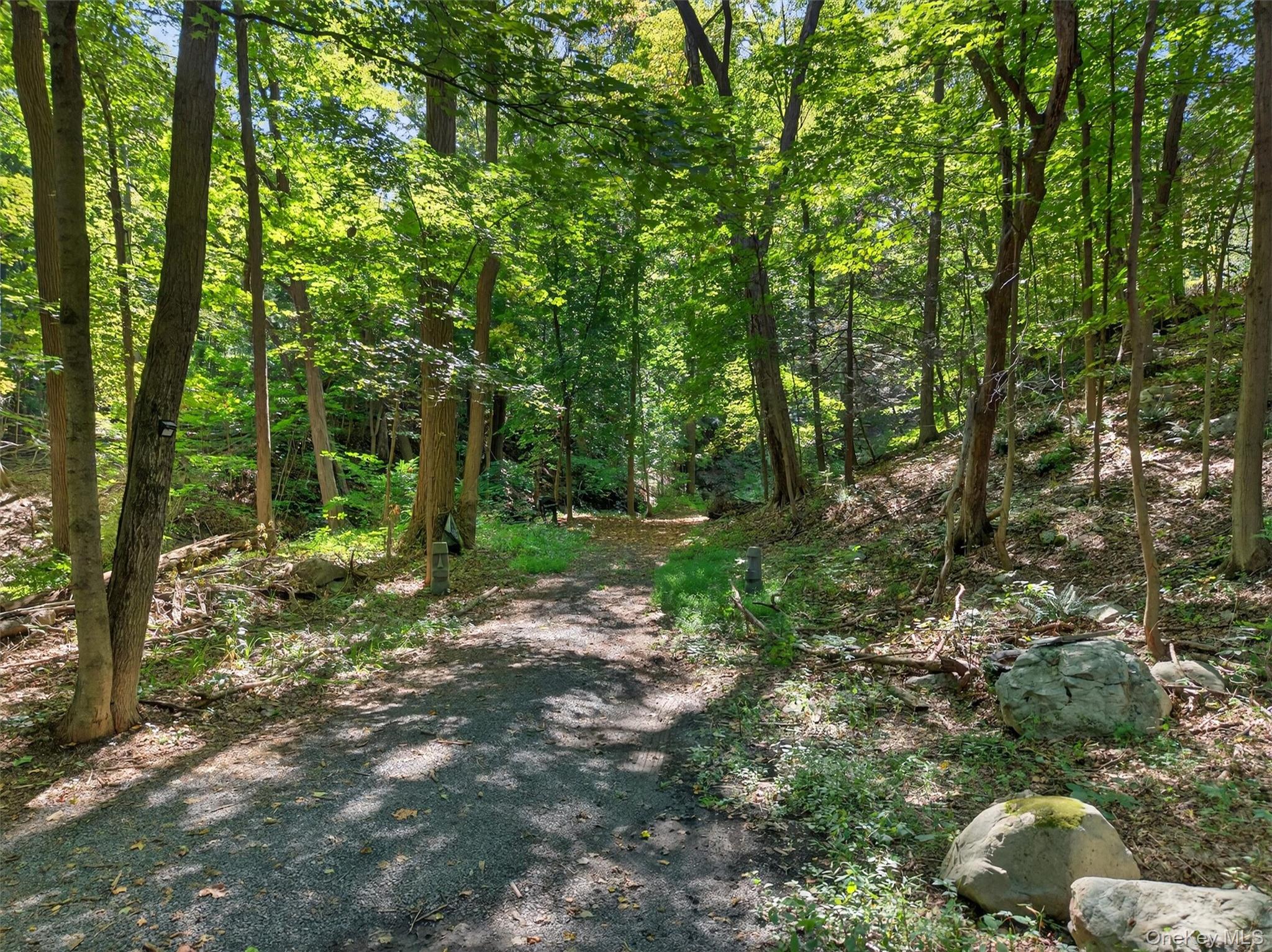 331 Mountain Lodge Road Property Photo 2