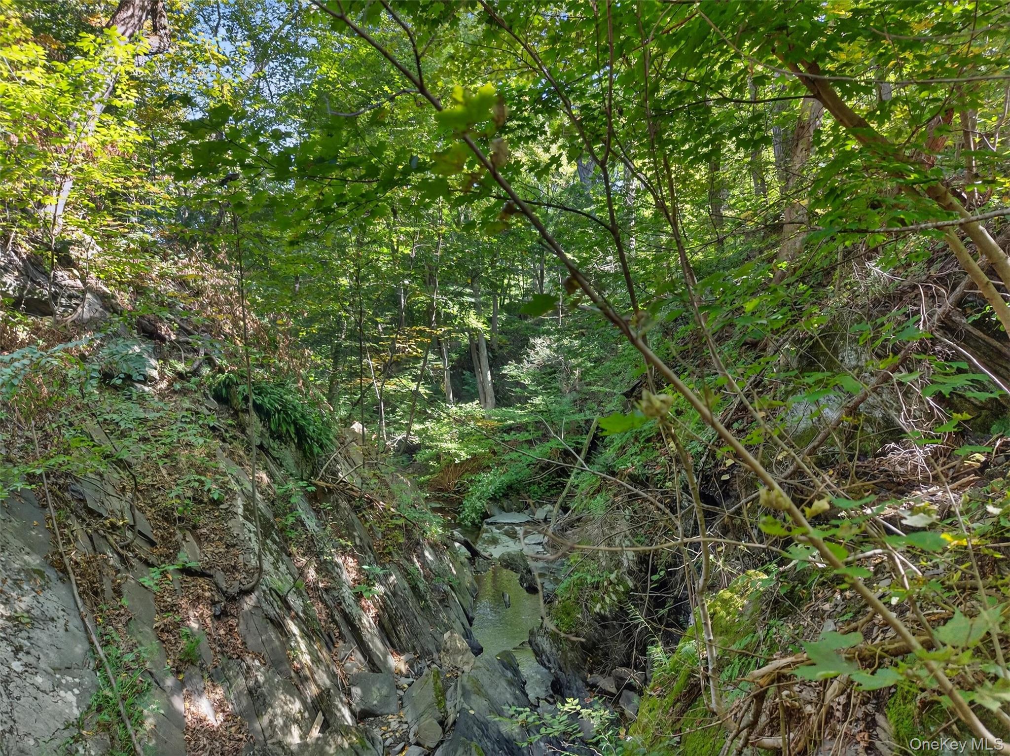 331 Mountain Lodge Road Property Photo 8