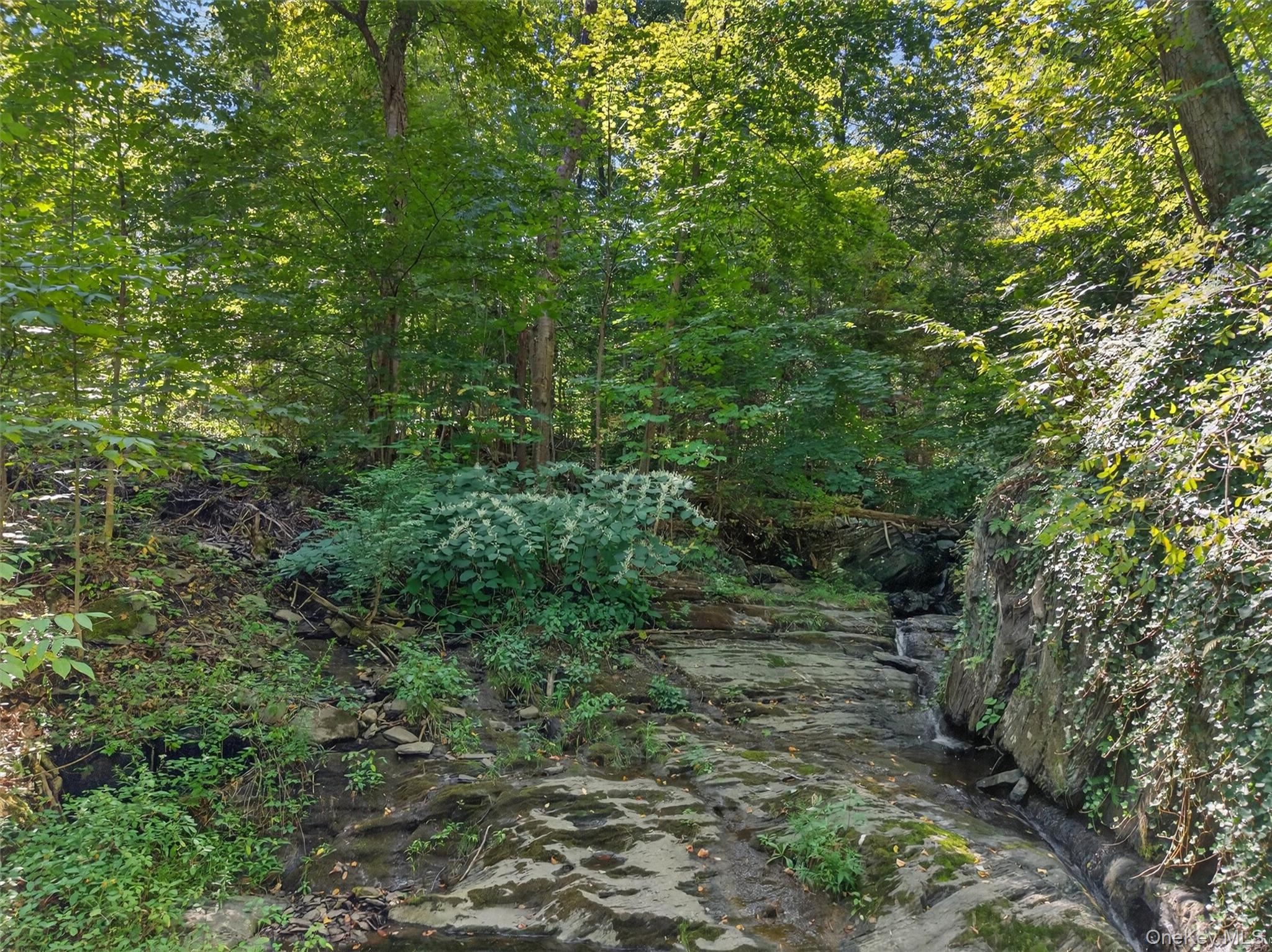 331 Mountain Lodge Road Property Photo 12