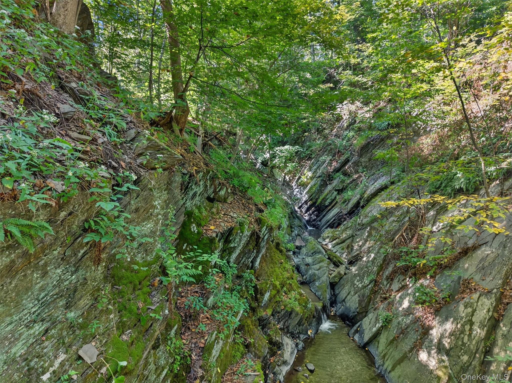 331 Mountain Lodge Road Property Photo 16