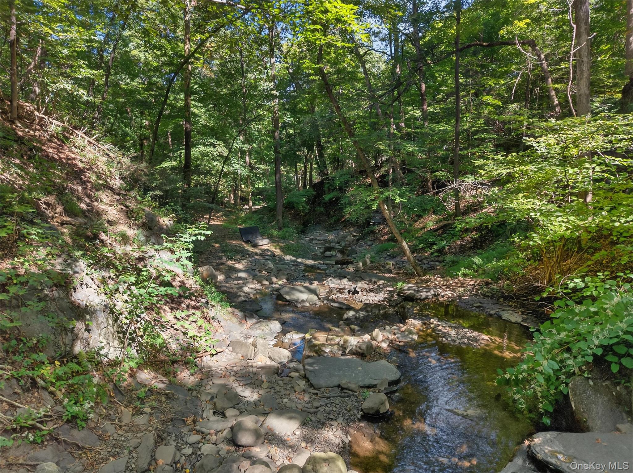 331 Mountain Lodge Road Property Photo 17
