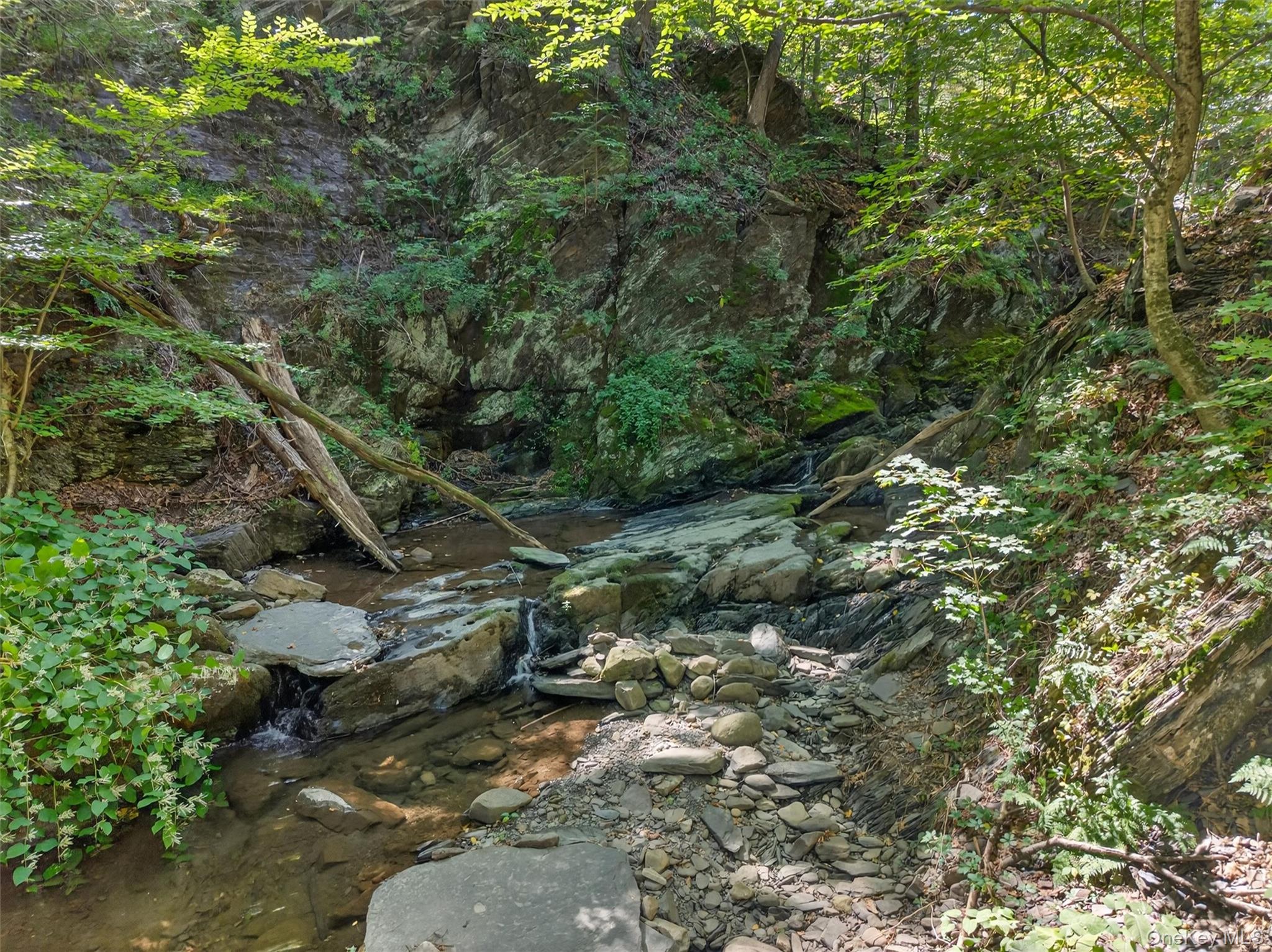 331 Mountain Lodge Road Property Photo 18