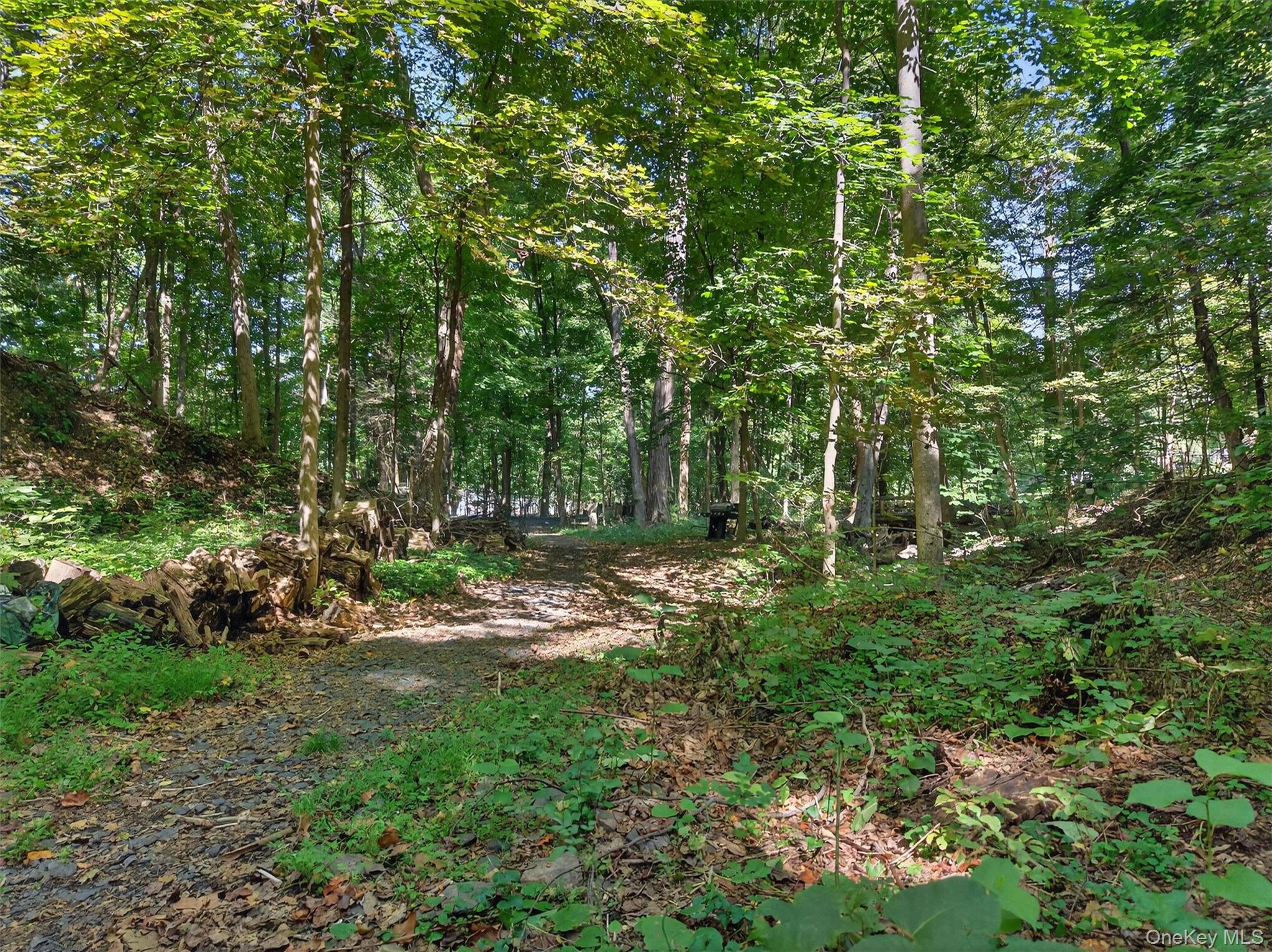 331 Mountain Lodge Road Property Photo 23