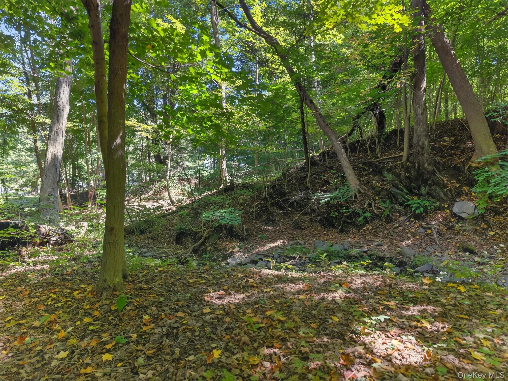 331 Mountain Lodge Road Property Photo 25