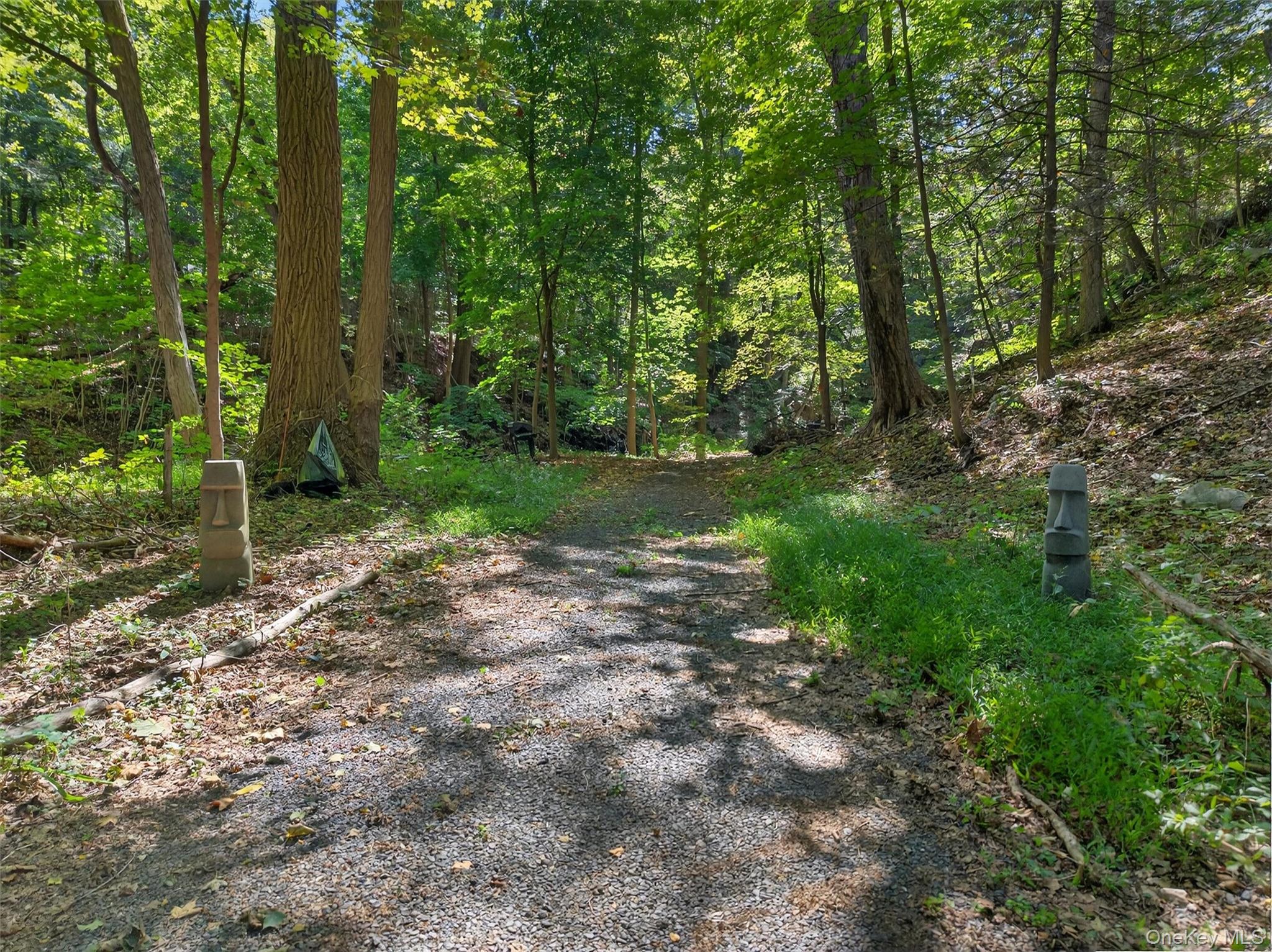 331 Mountain Lodge Road Property Photo 26
