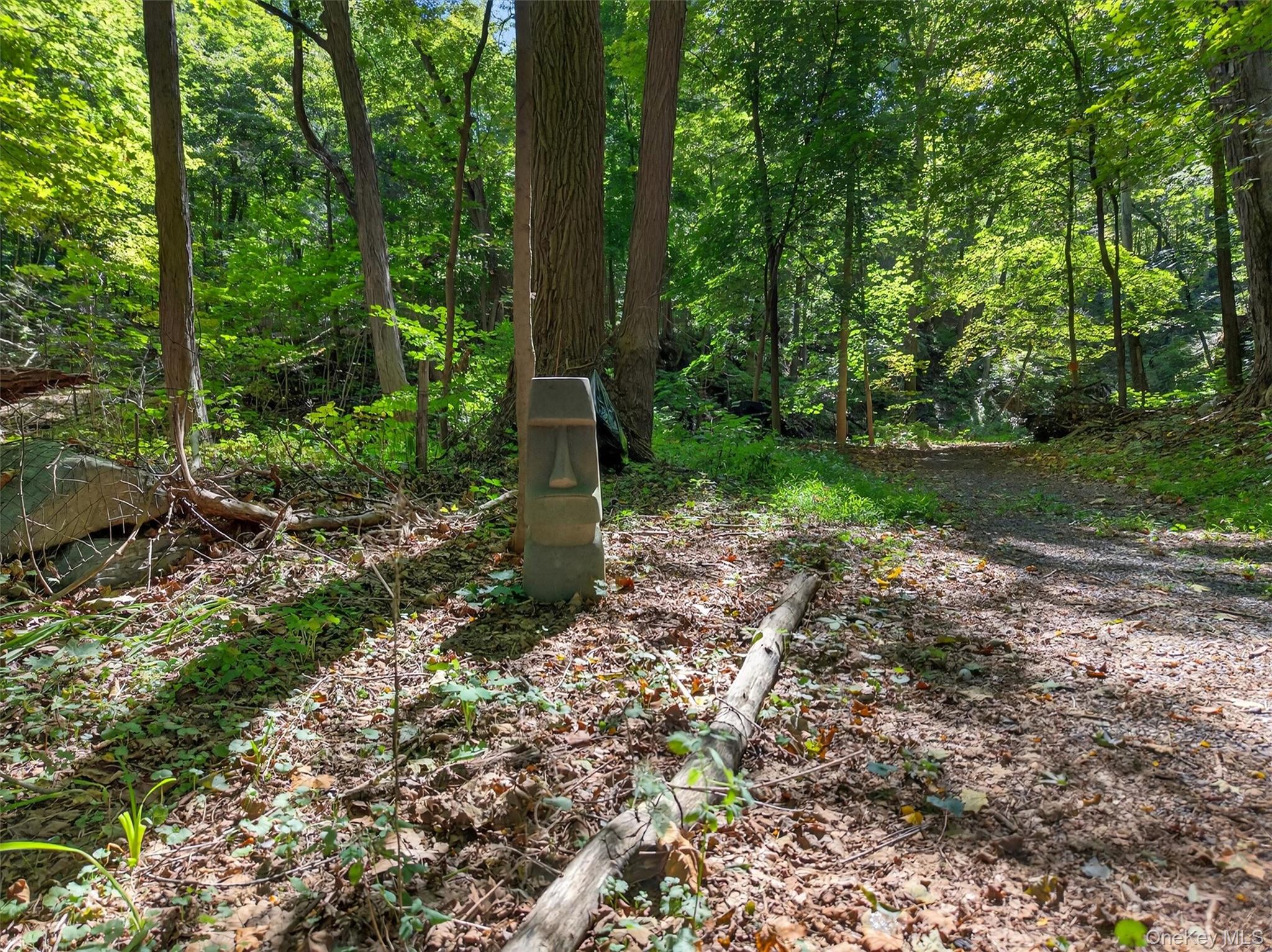 331 Mountain Lodge Road Property Photo 27