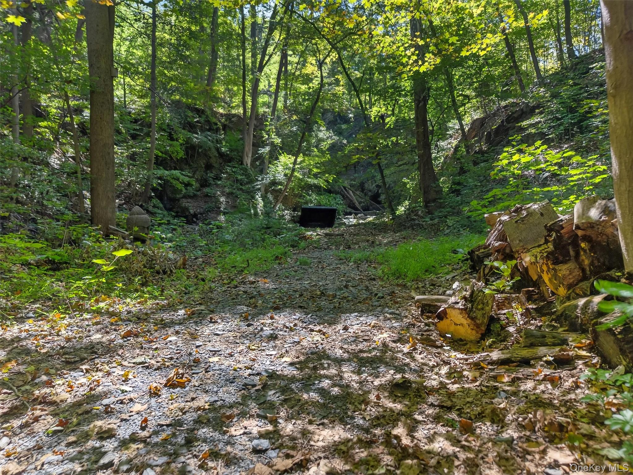 331 Mountain Lodge Road Property Photo 30