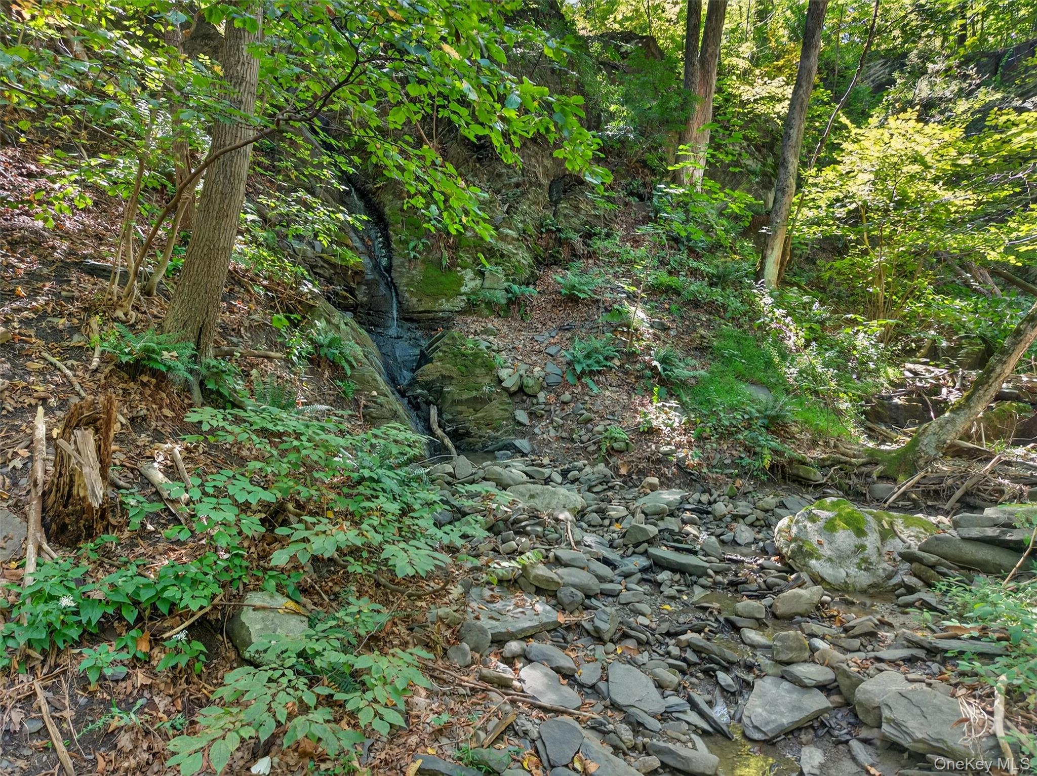 331 Mountain Lodge Road Property Photo 31