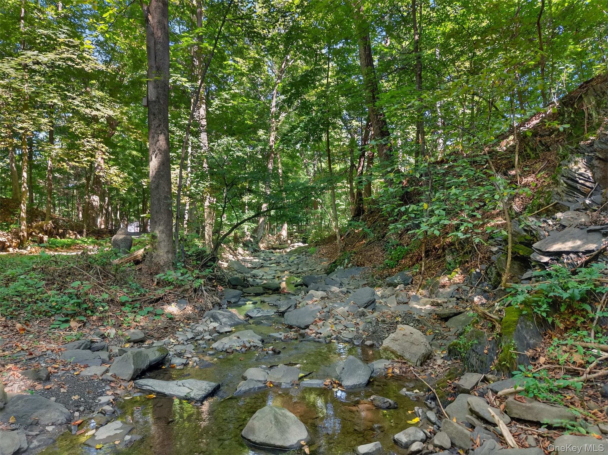 331 Mountain Lodge Road Property Photo 33
