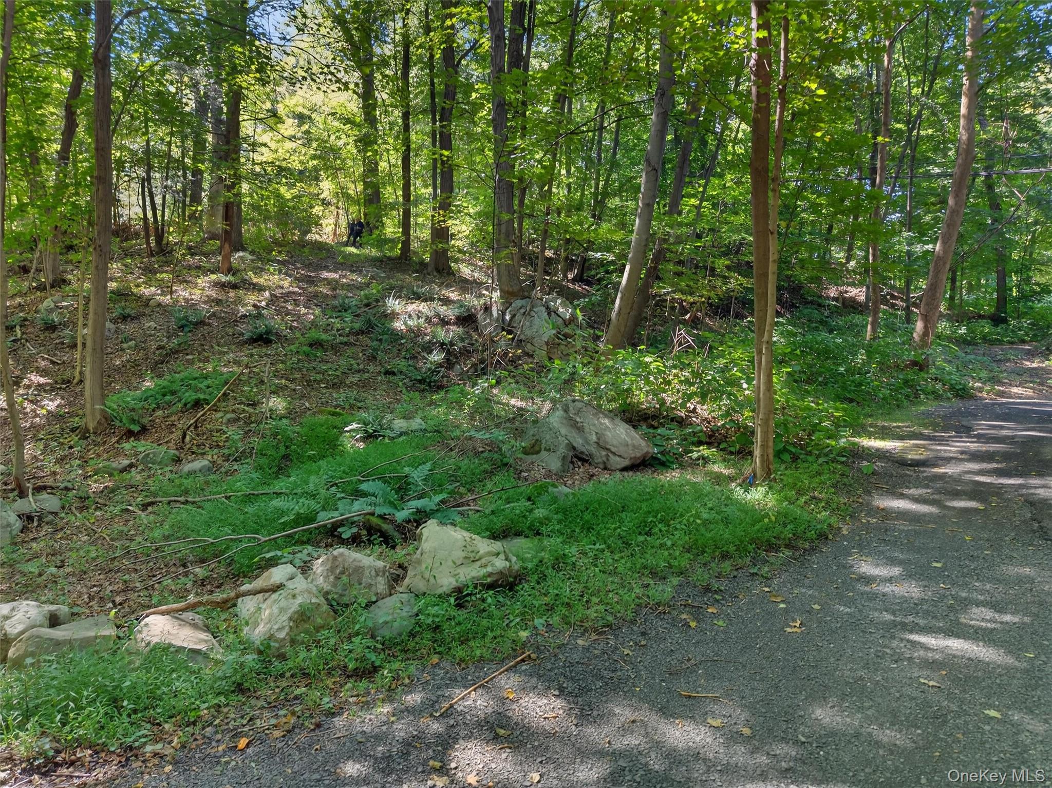 331 Mountain Lodge Road Property Photo 35
