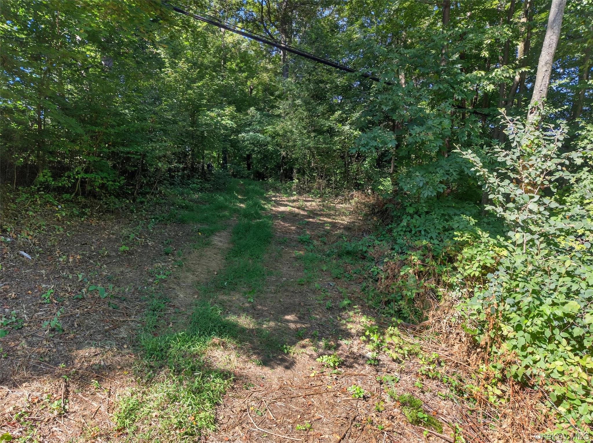 331 Mountain Lodge Road Property Photo 36