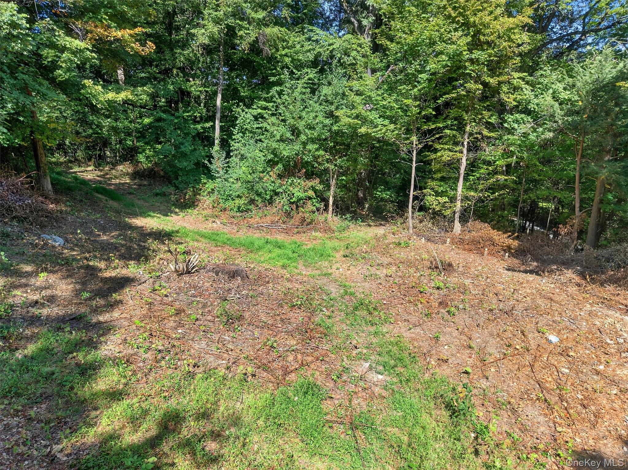331 Mountain Lodge Road Property Photo 37