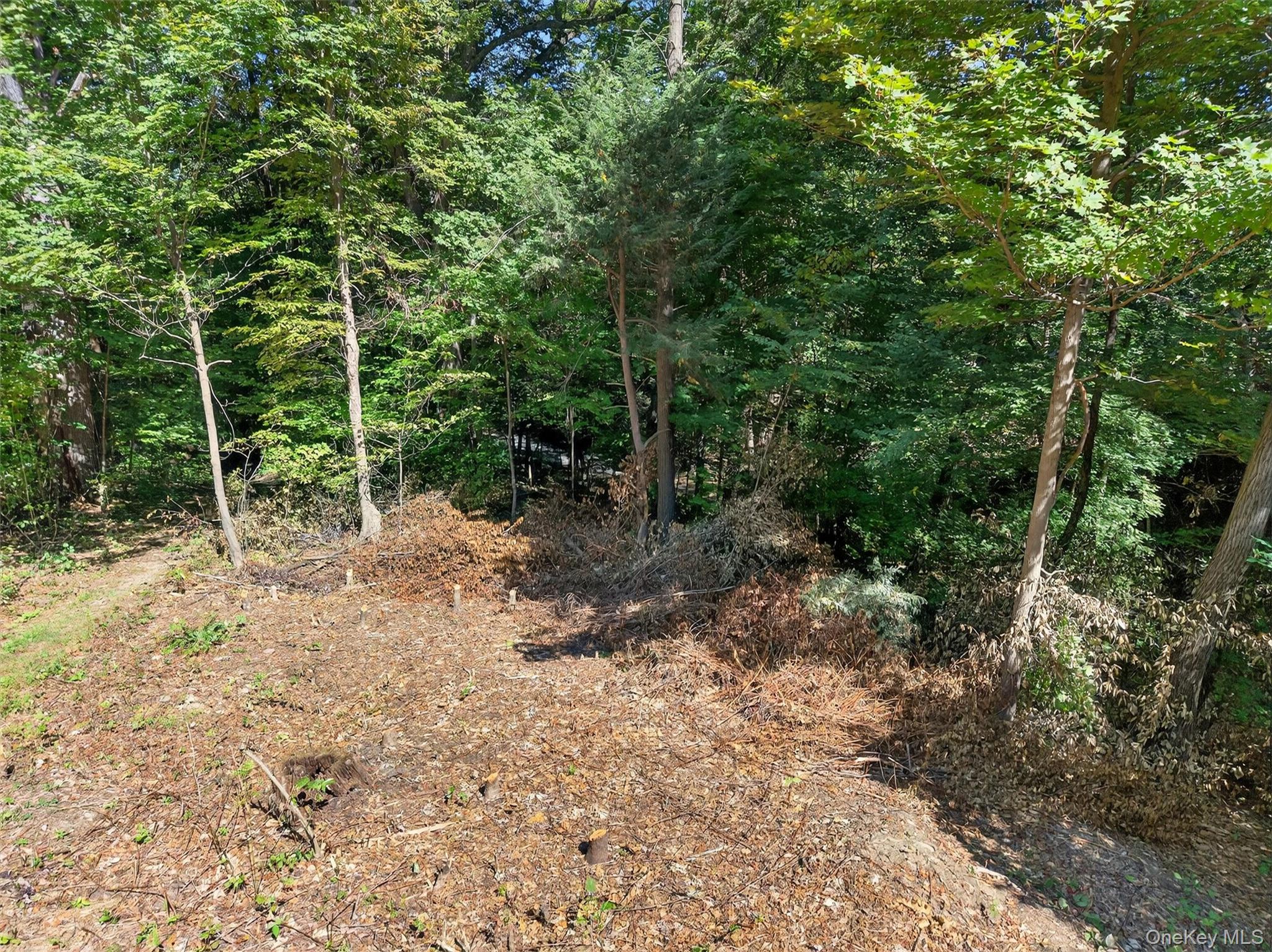 331 Mountain Lodge Road Property Photo 38