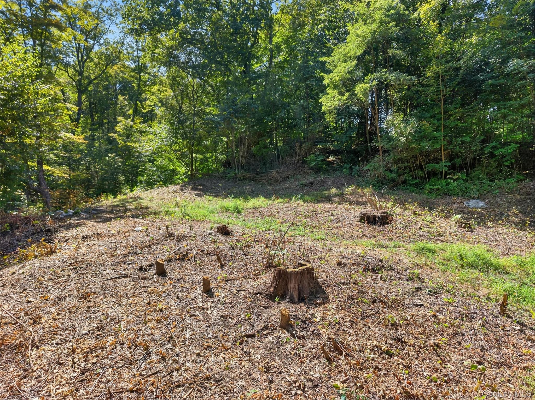 331 Mountain Lodge Road Property Photo 39