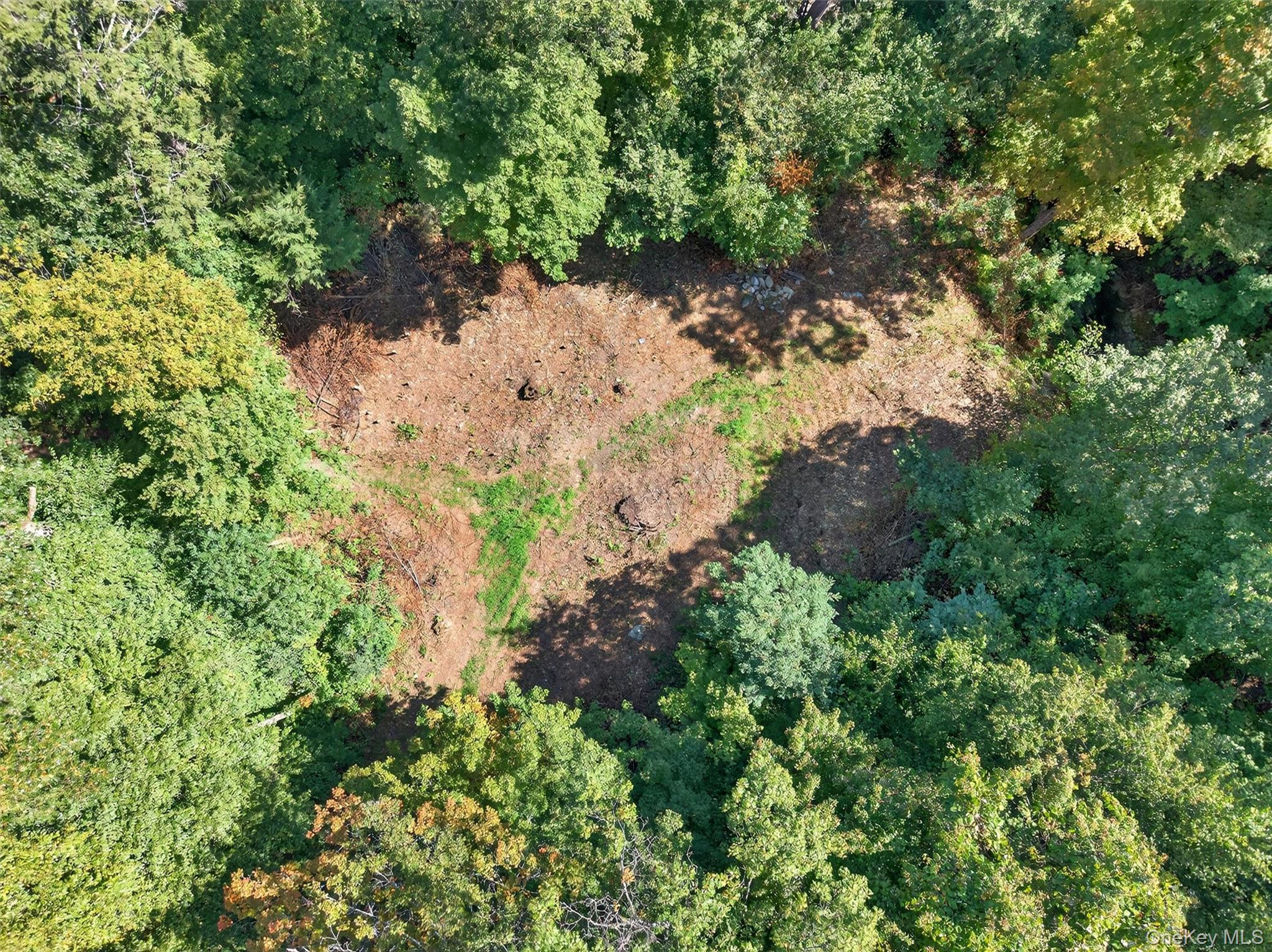 331 Mountain Lodge Road Property Photo 40