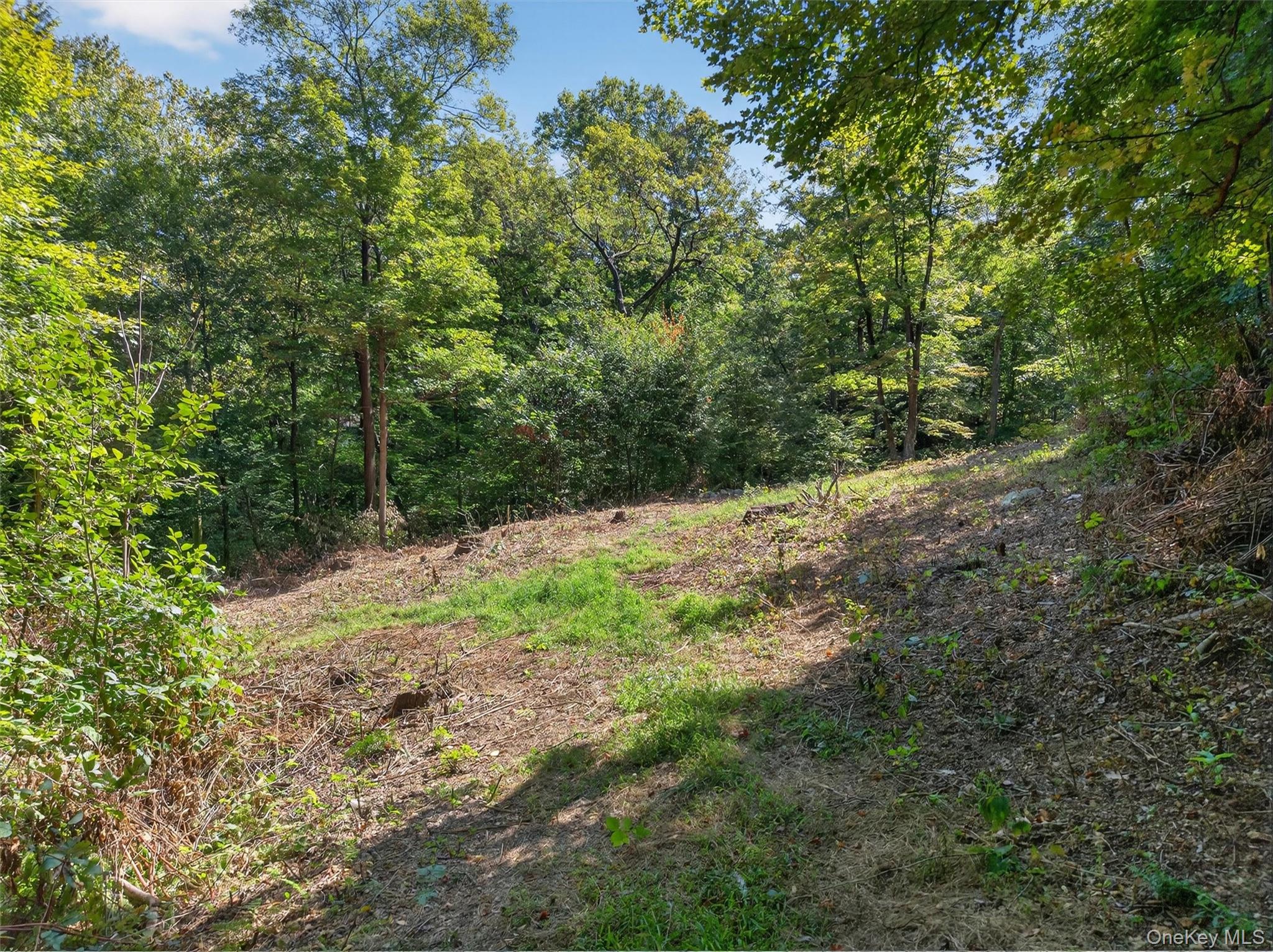 331 Mountain Lodge Road Property Photo 41