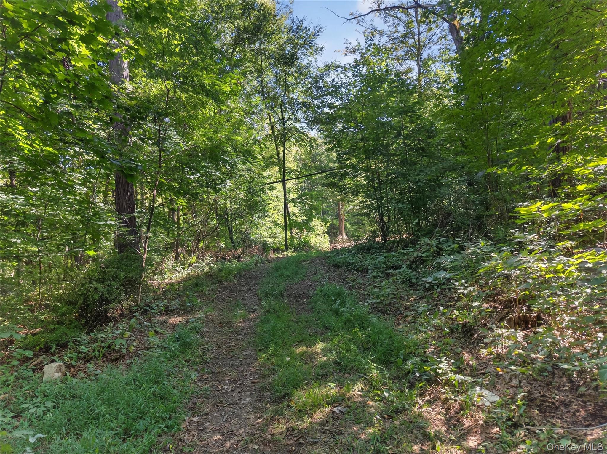 331 Mountain Lodge Road Property Photo 42