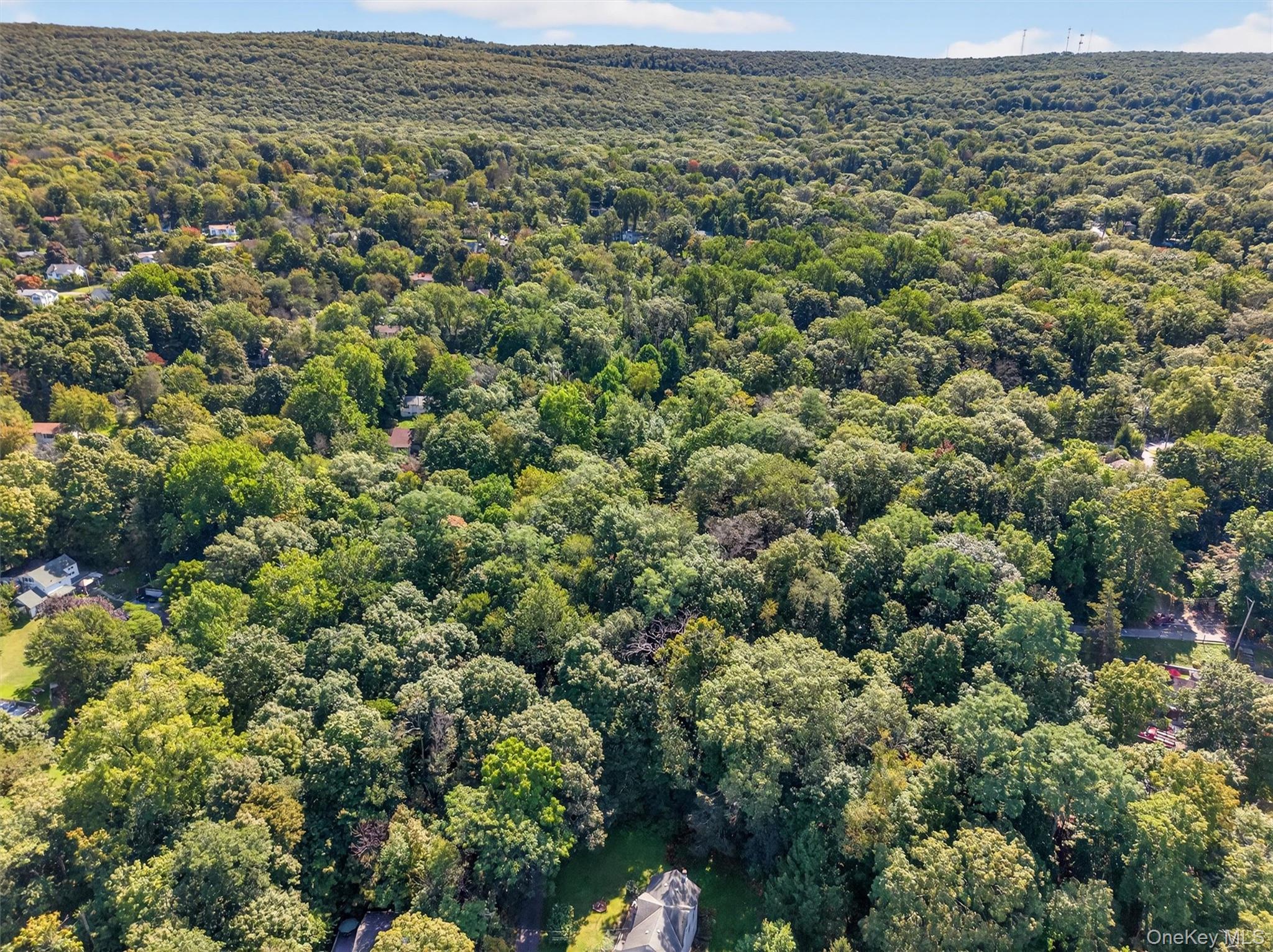 331 Mountain Lodge Road Property Photo 44