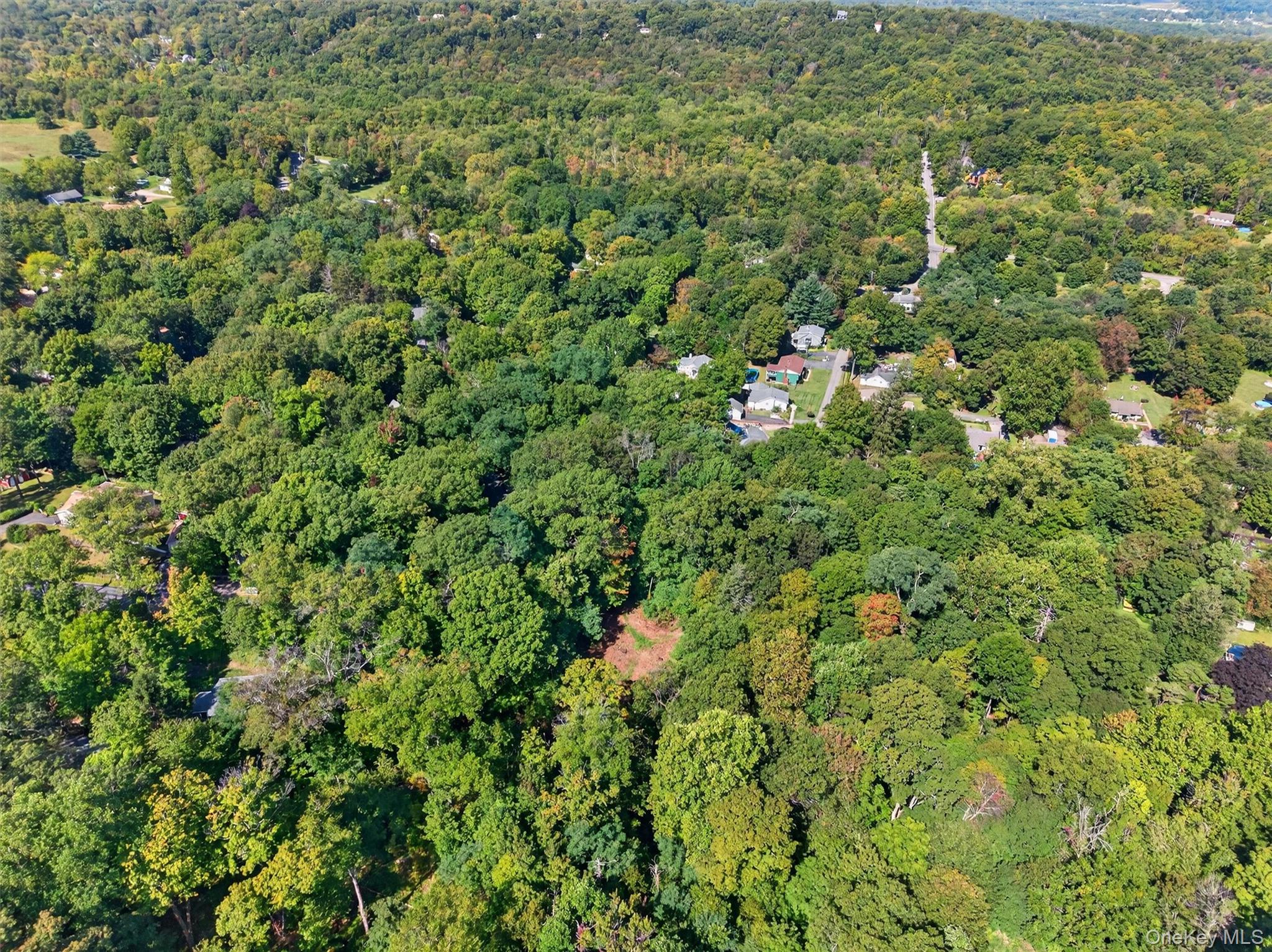 331 Mountain Lodge Road Property Photo 45