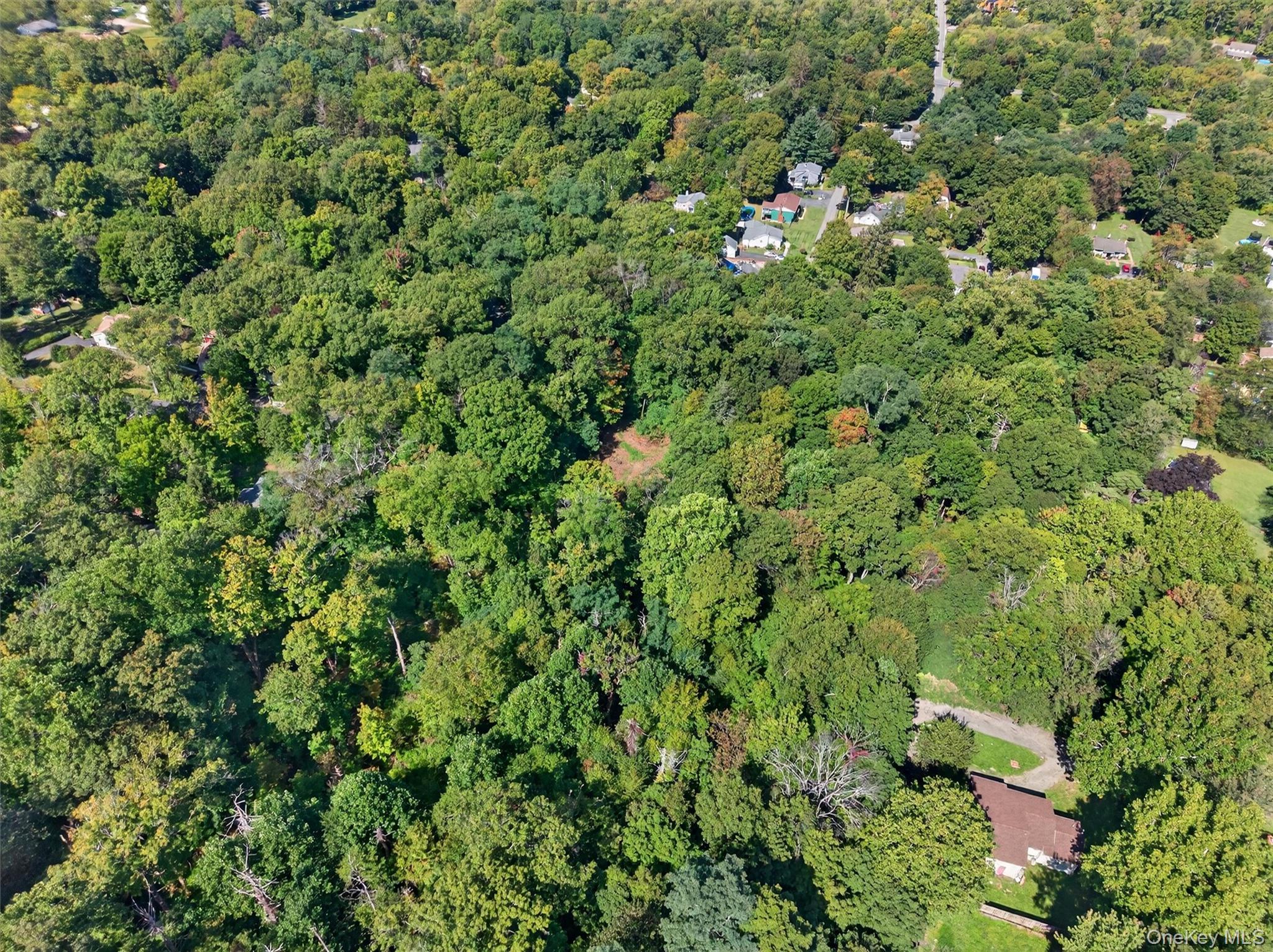 331 Mountain Lodge Road Property Photo 46