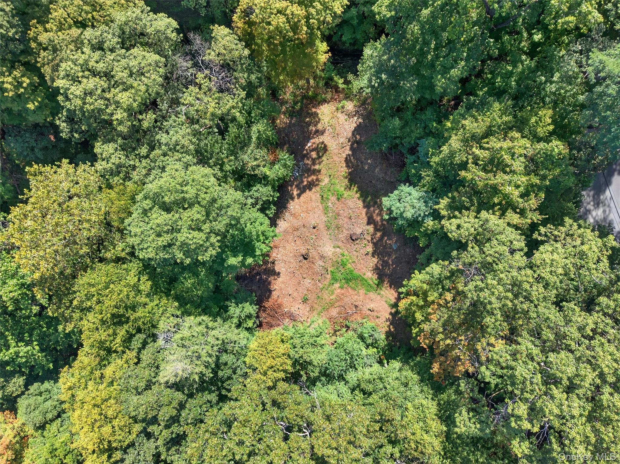 331 Mountain Lodge Road Property Photo 49