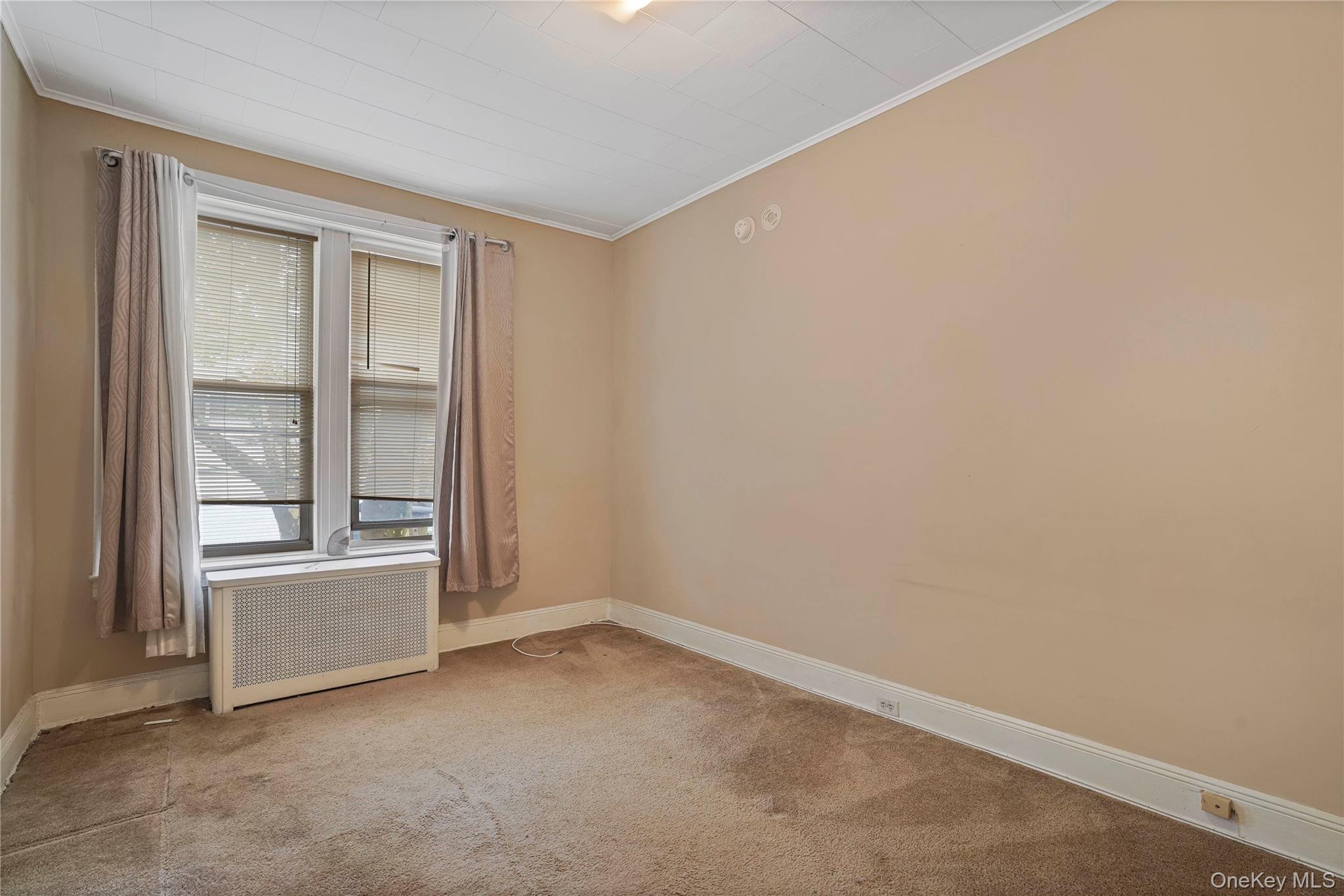 72-07 73 Street Property Photo 14