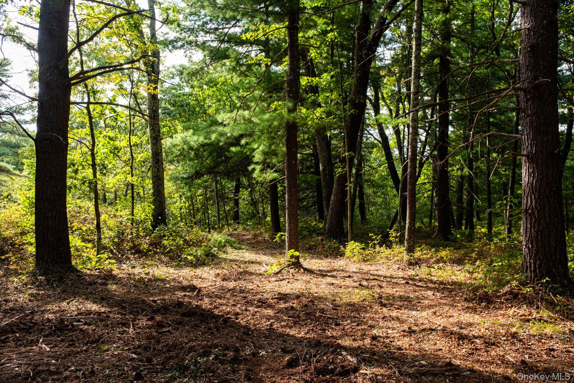 406 Shunpike Property Photo 42