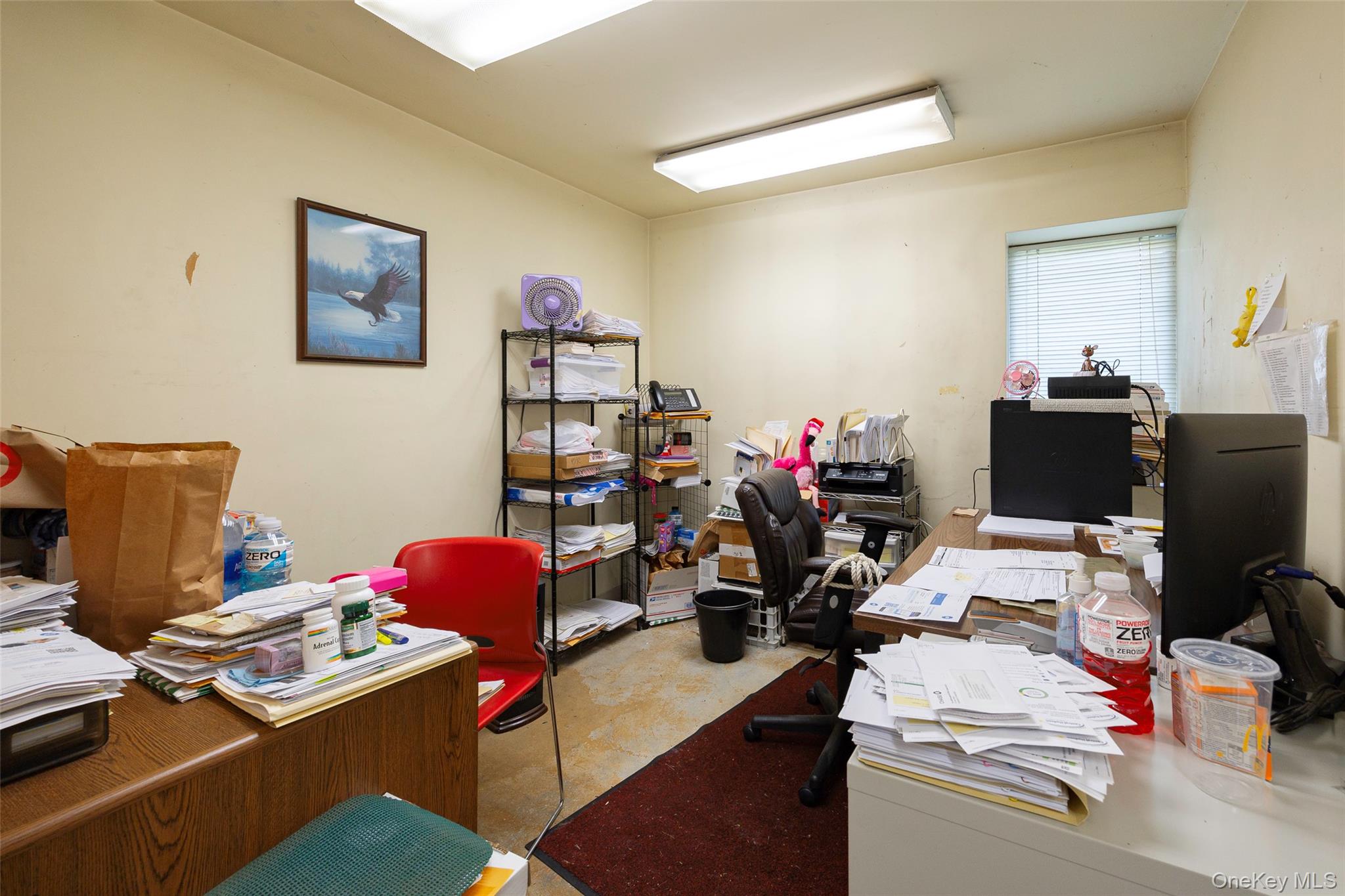44 Manchester Road Property Photo 14
