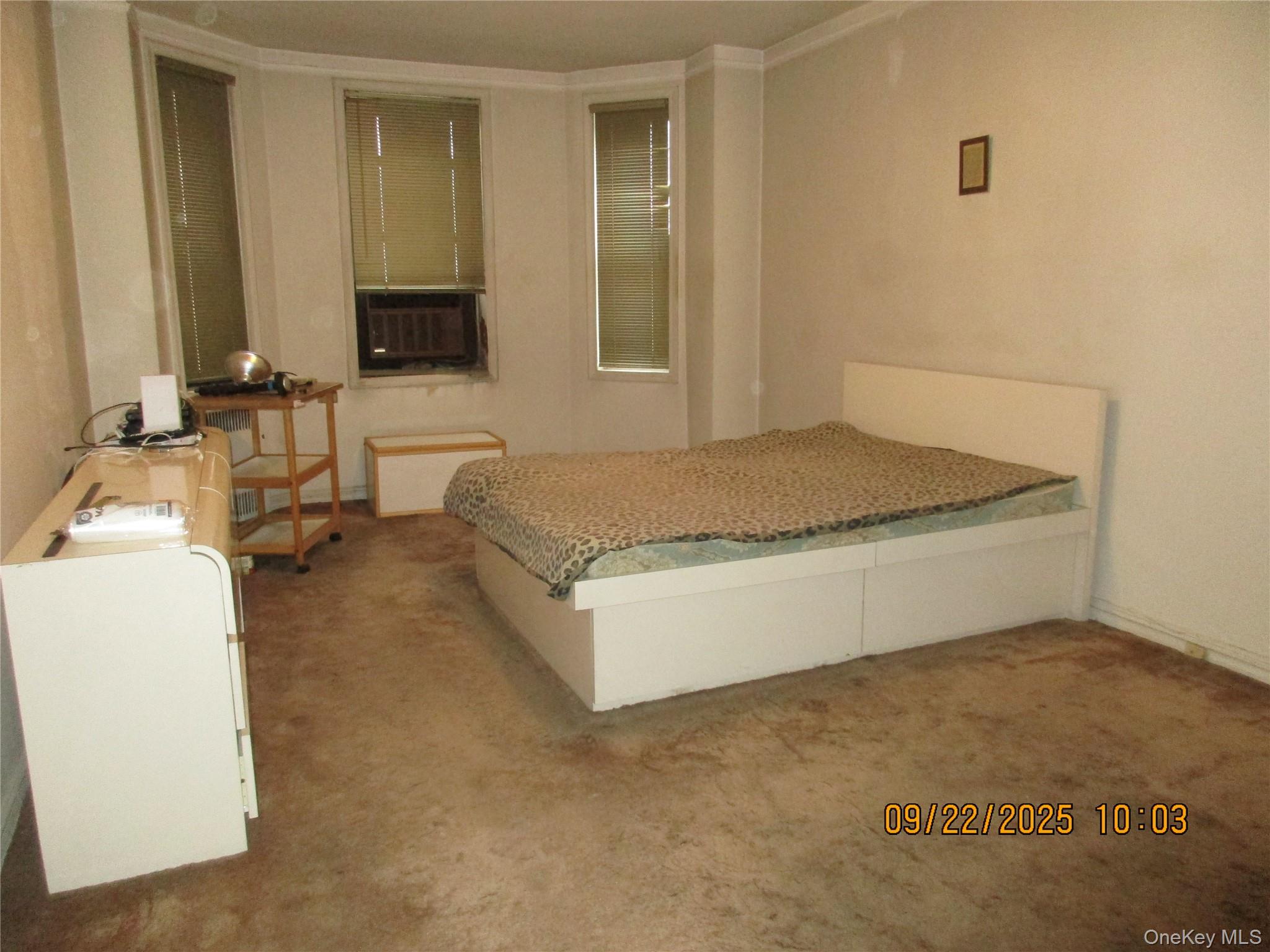 84-51 Beverly Road 2-s Property Photo 12